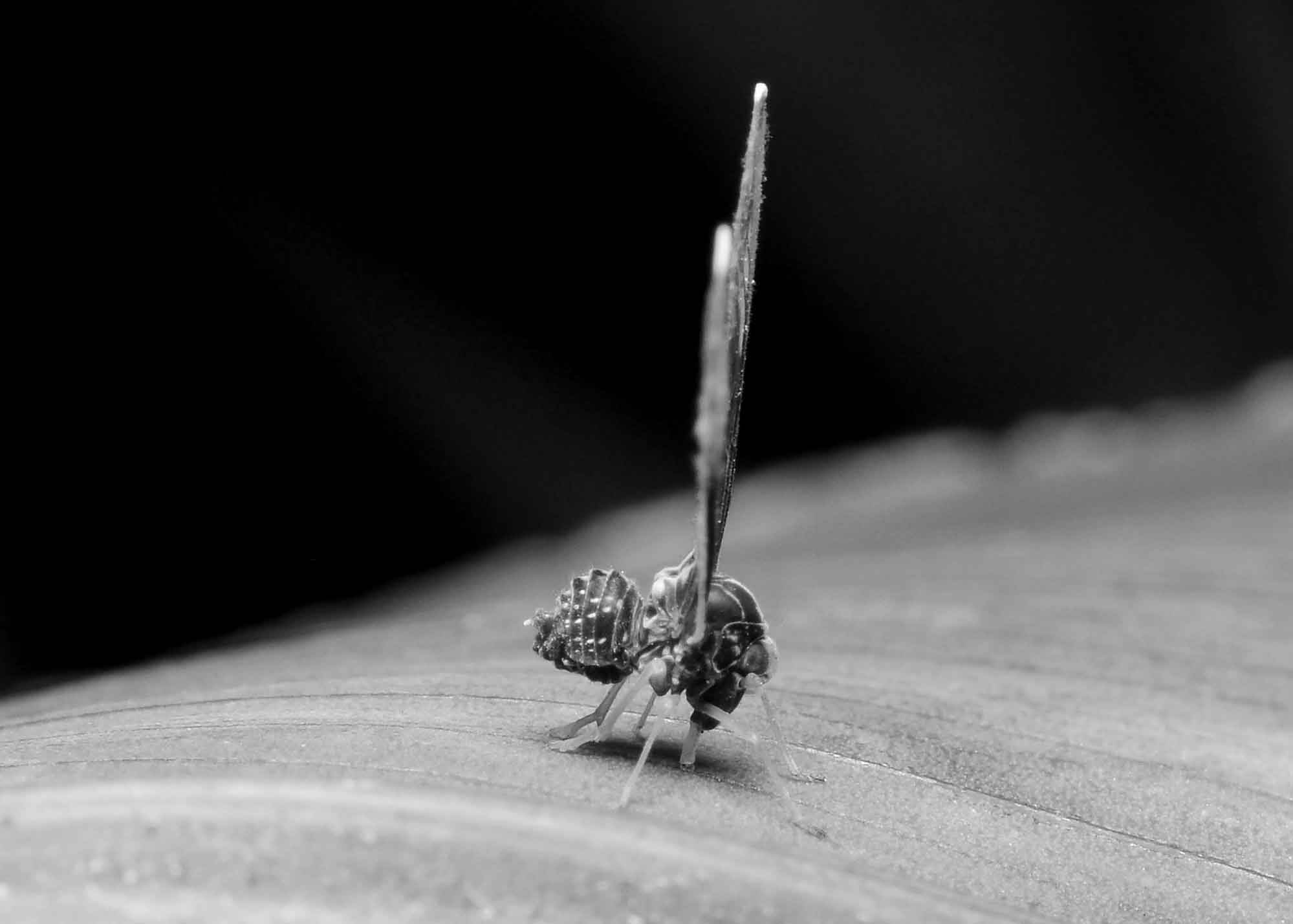DSC_3319.jpg