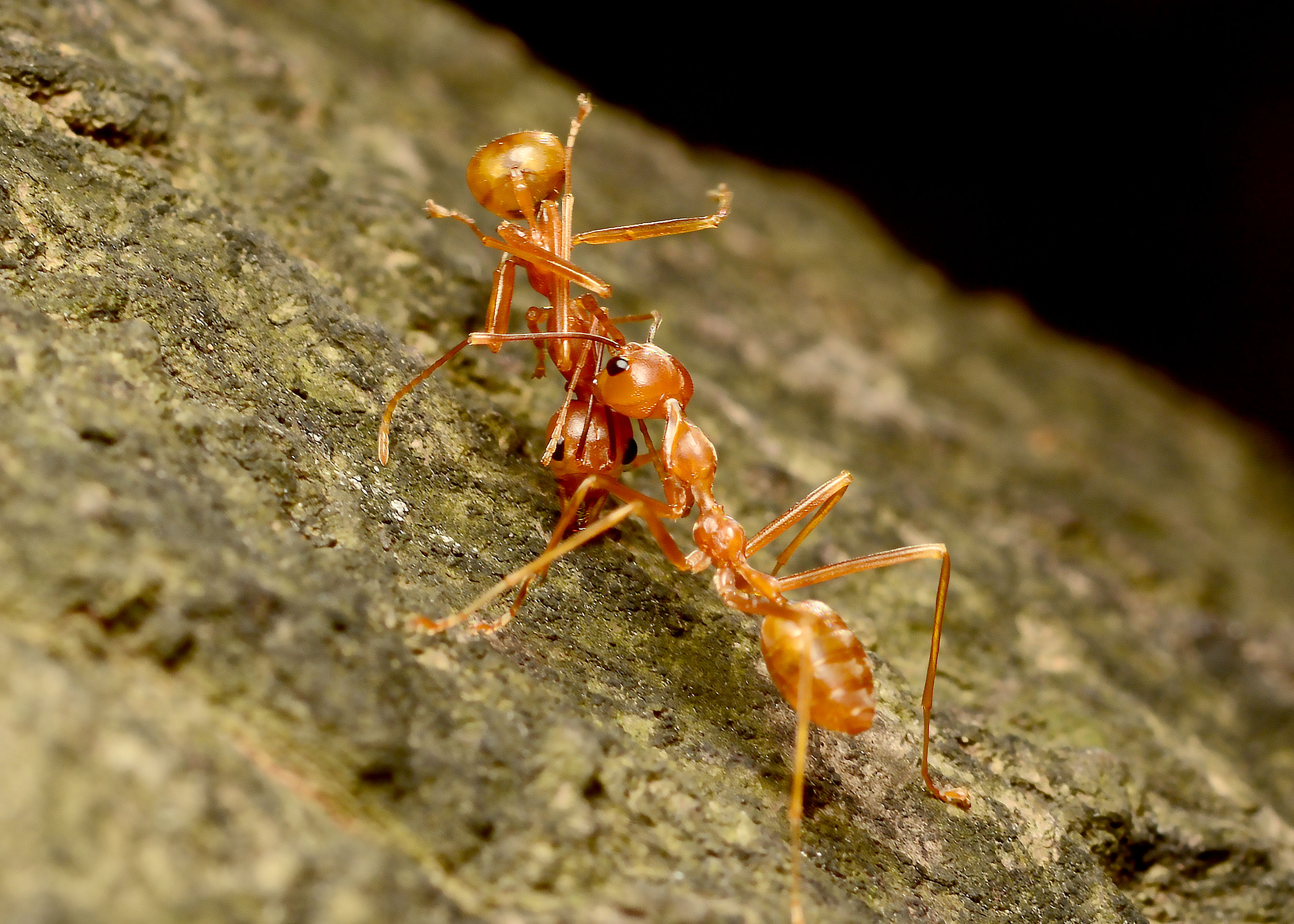 DSC_8110.jpg