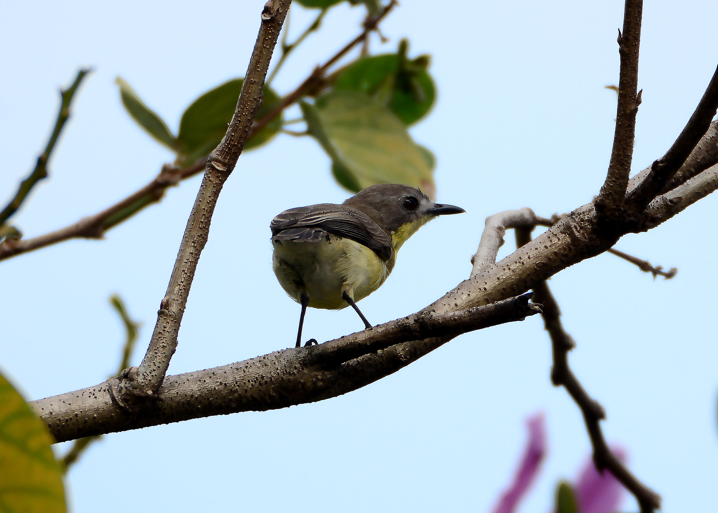 DSC_0944.jpg