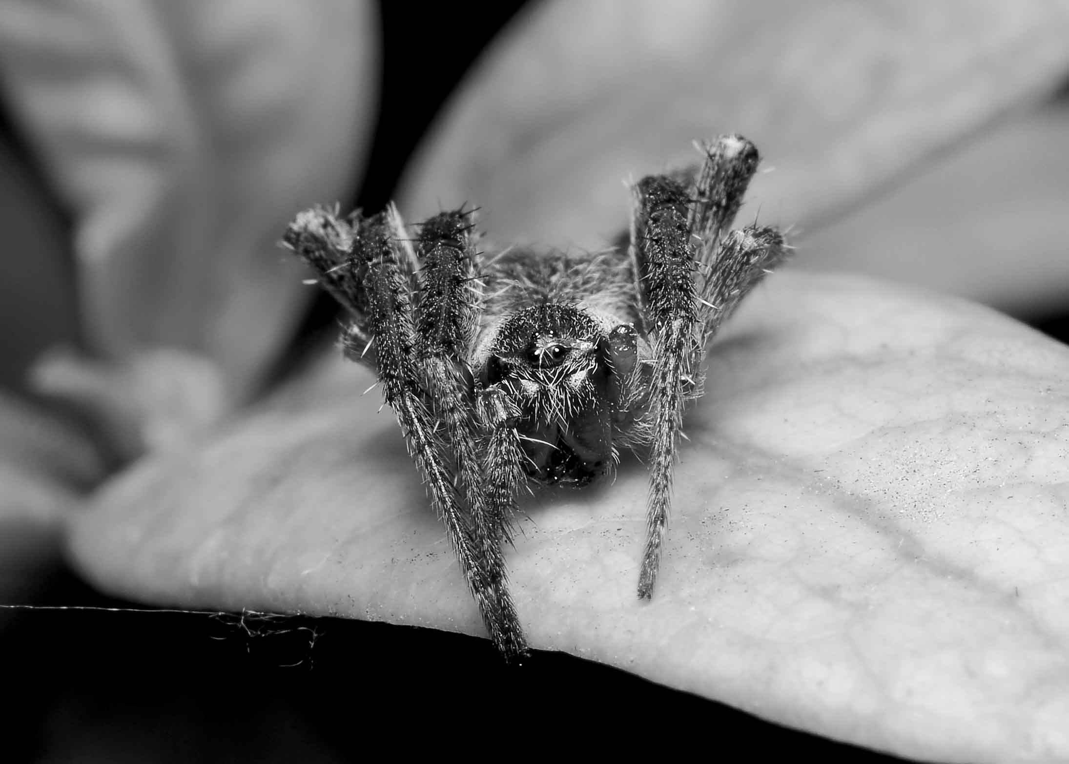 DSC_3339.jpg