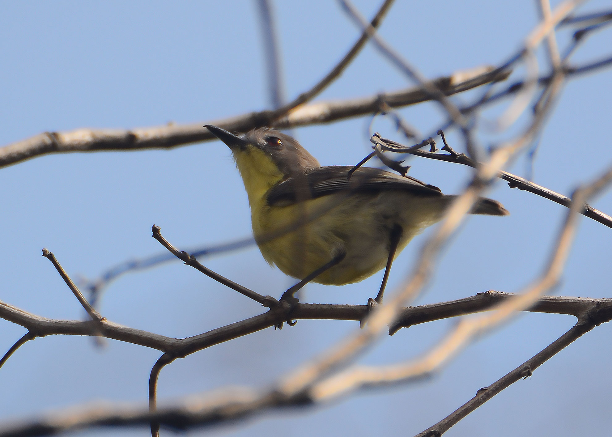 DSC_7461.jpg