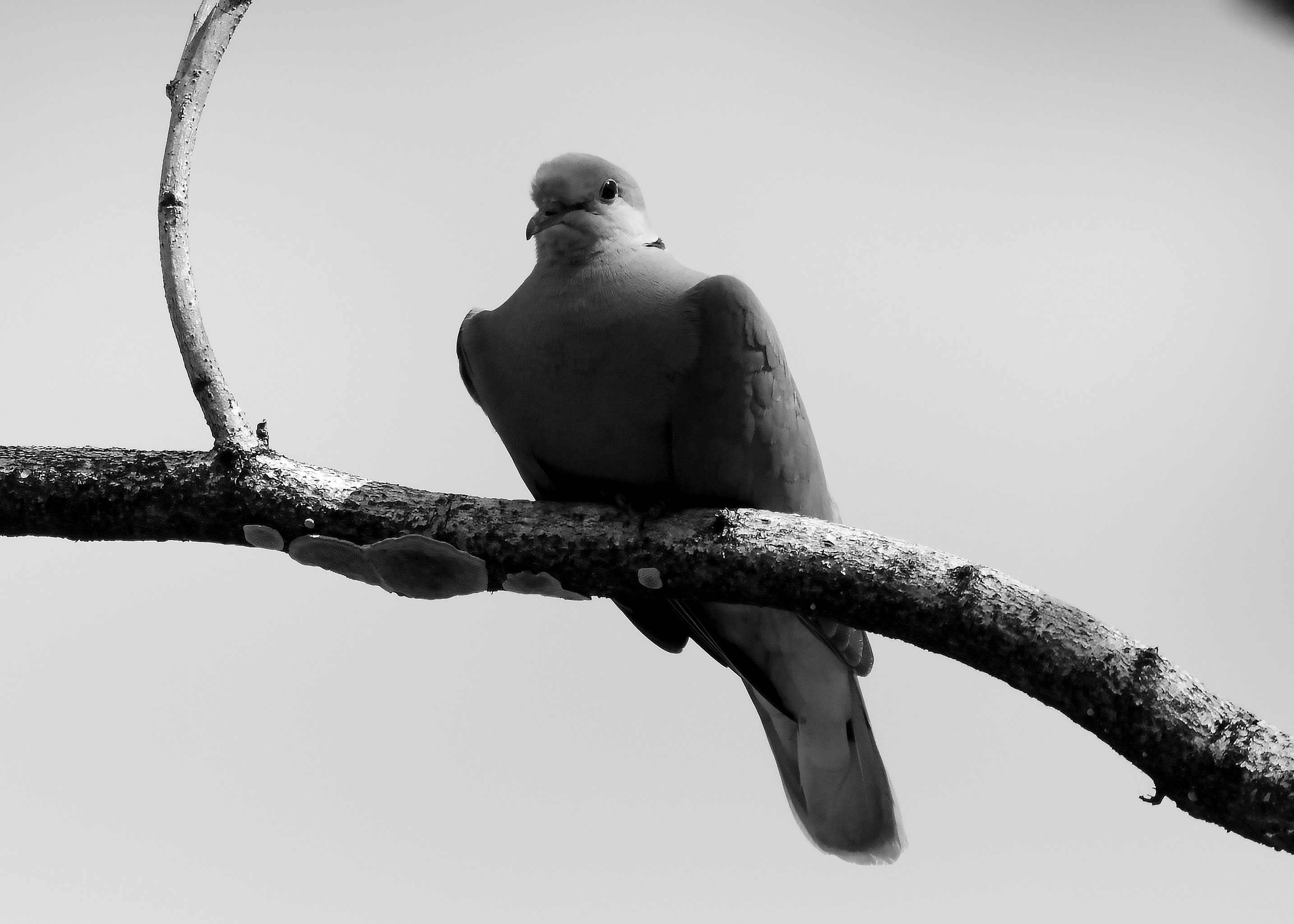DSC_0610.jpg