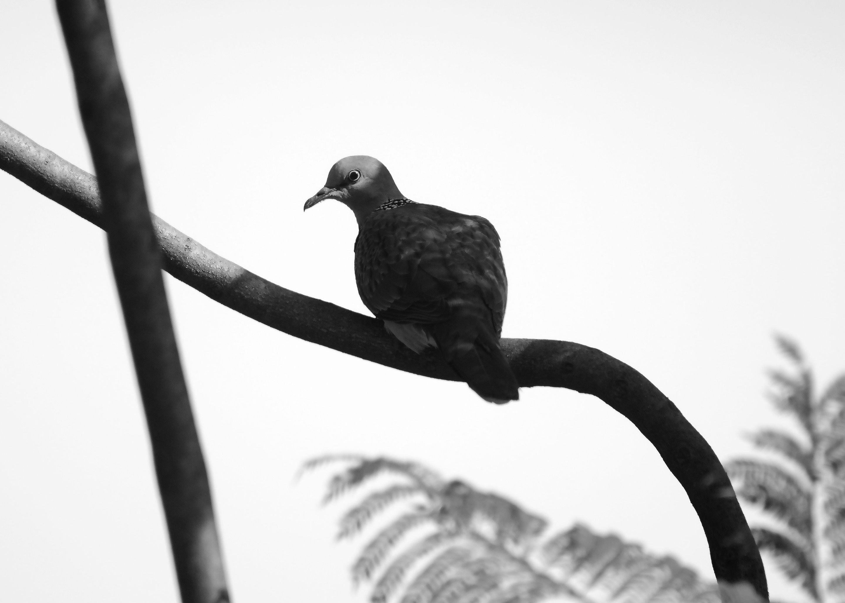DSC_0471_01.jpg