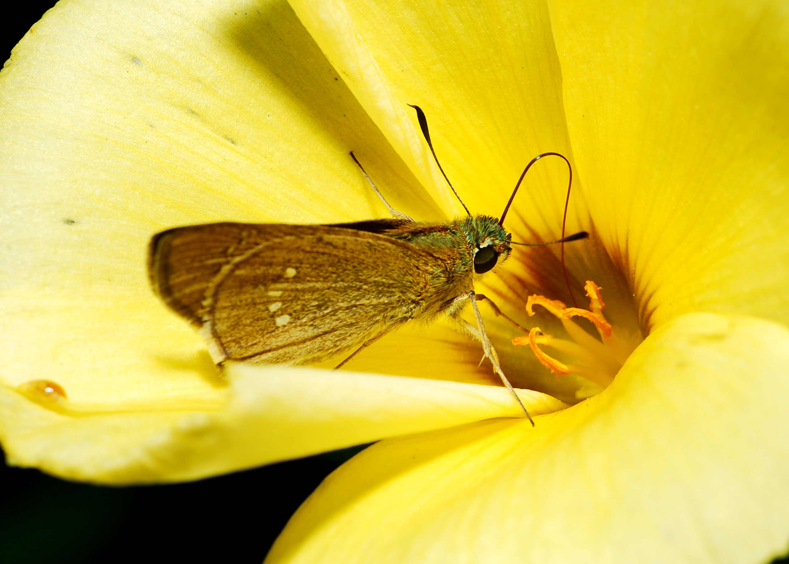 DSC_7555.jpg