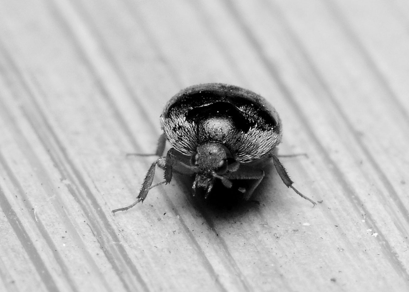 DSC_5879.jpg