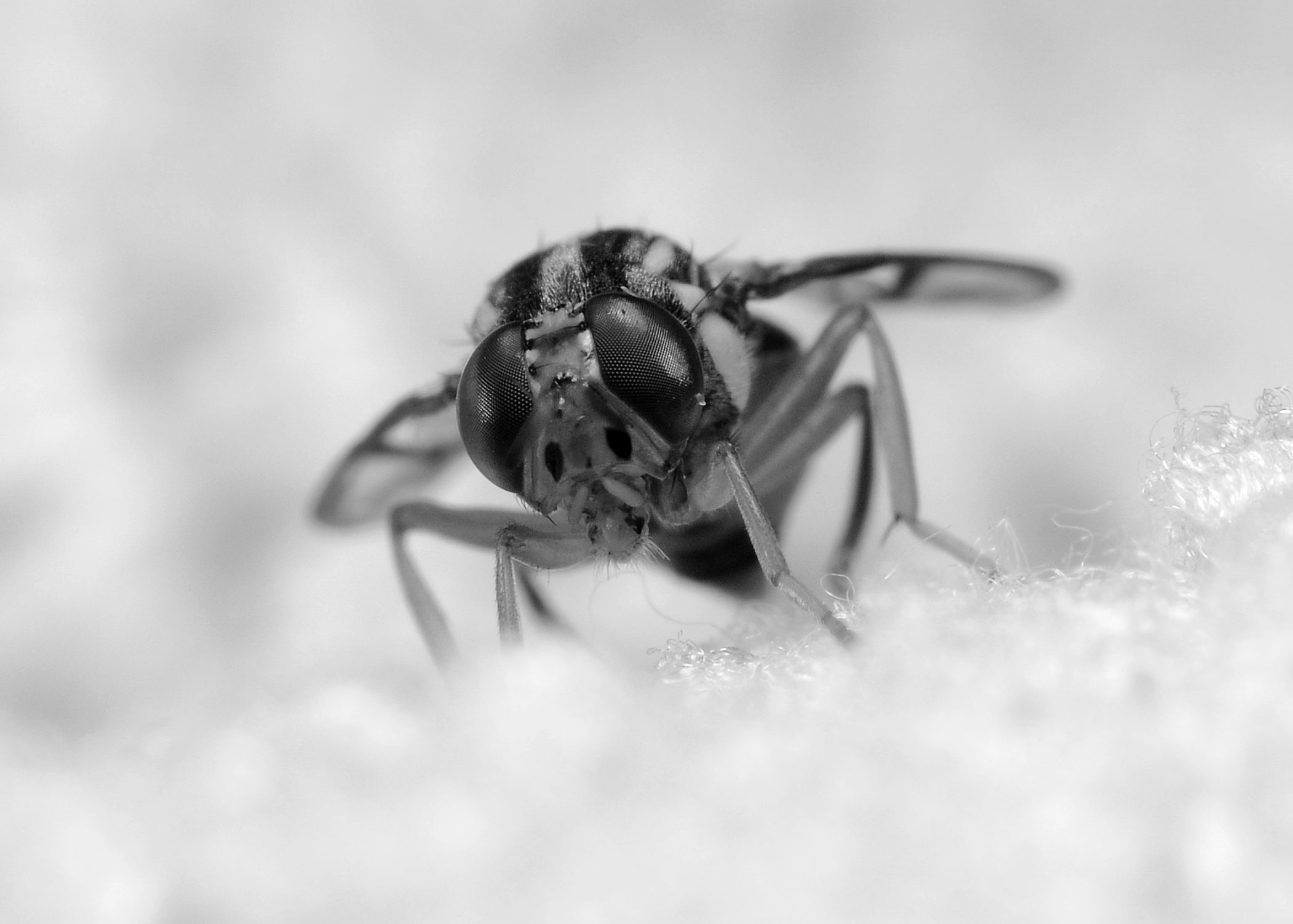 DSC_1663.jpg