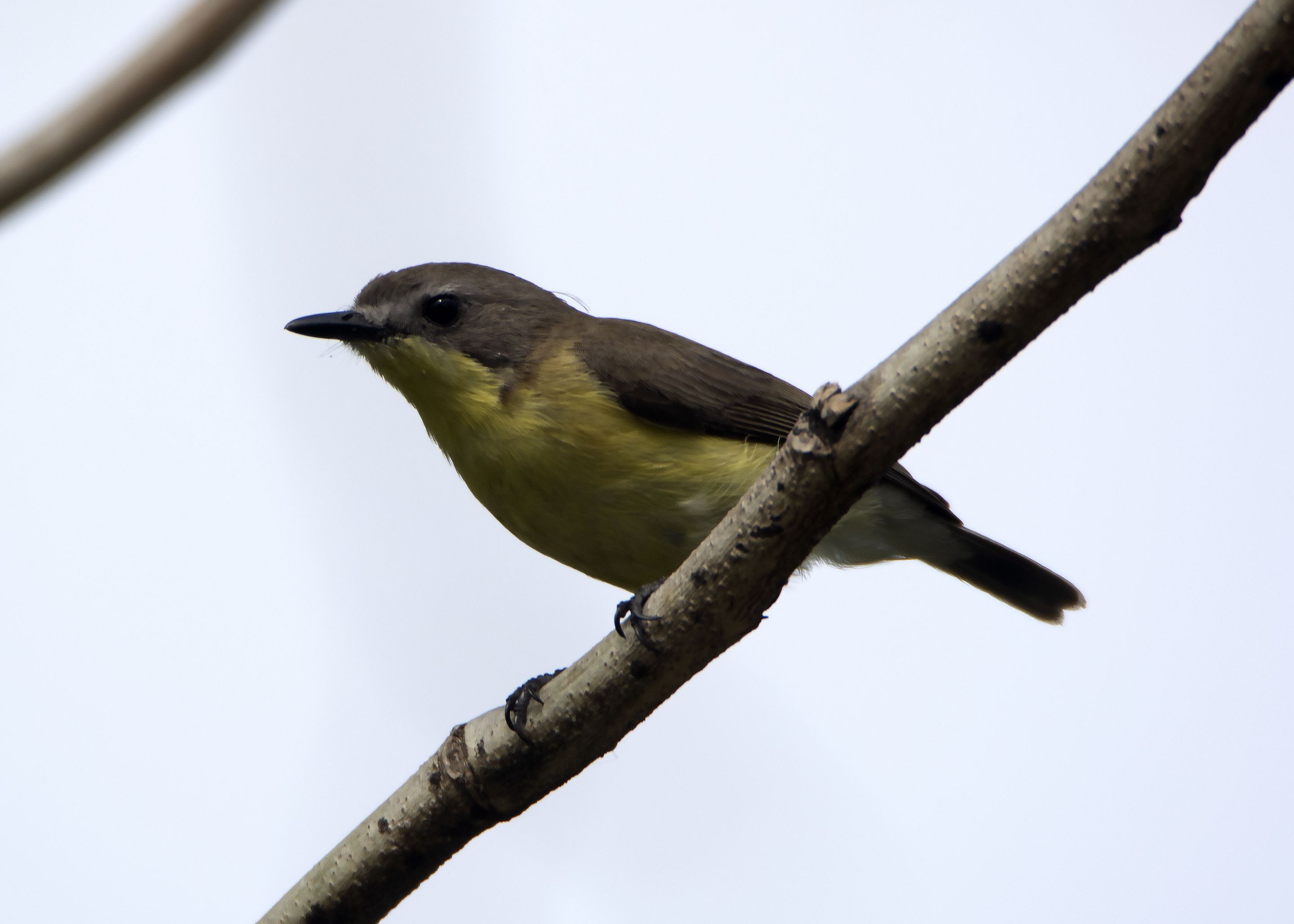 DSC_1152.jpg