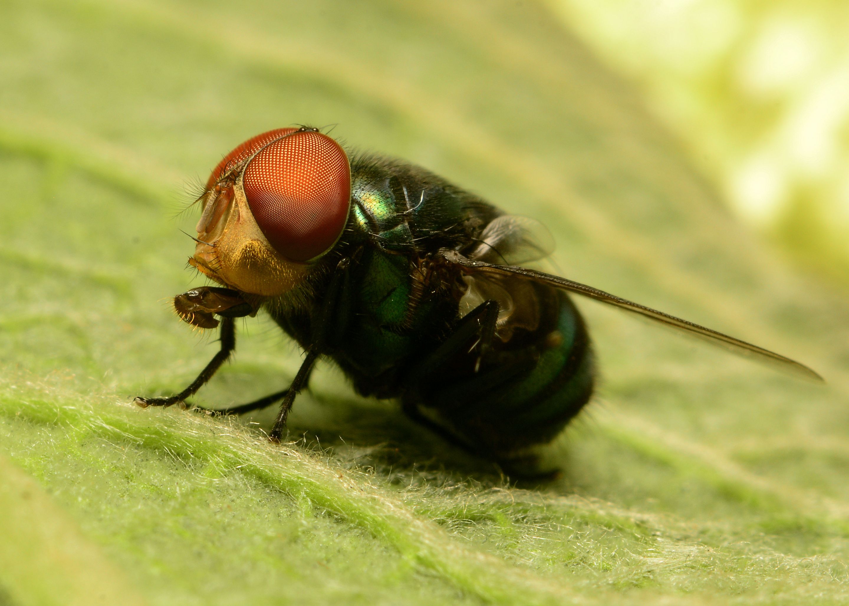 DSC_2157.jpg