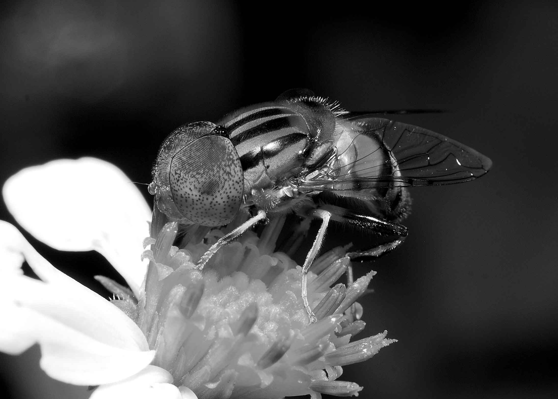 DSC_7969.jpg