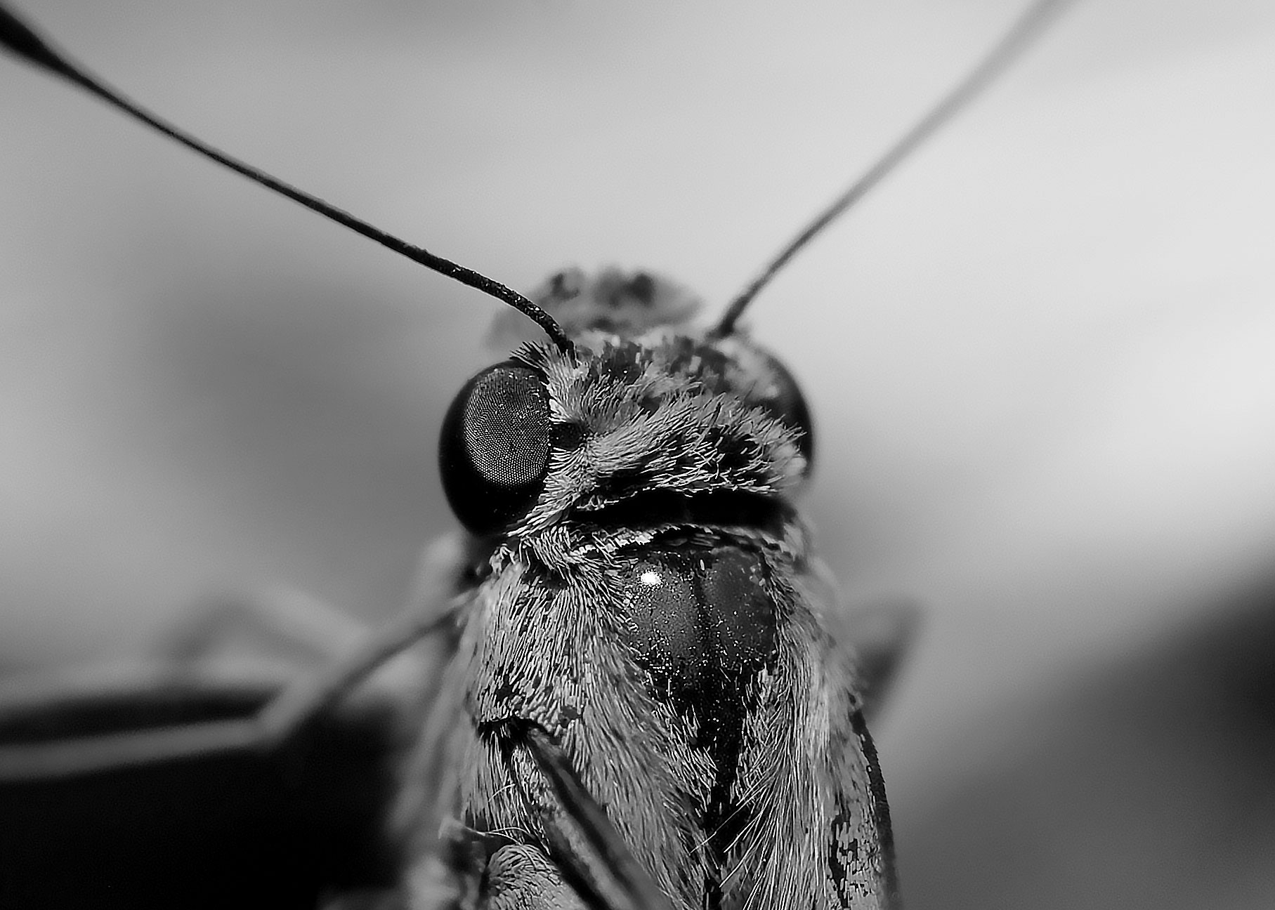 DSC_3914.jpg