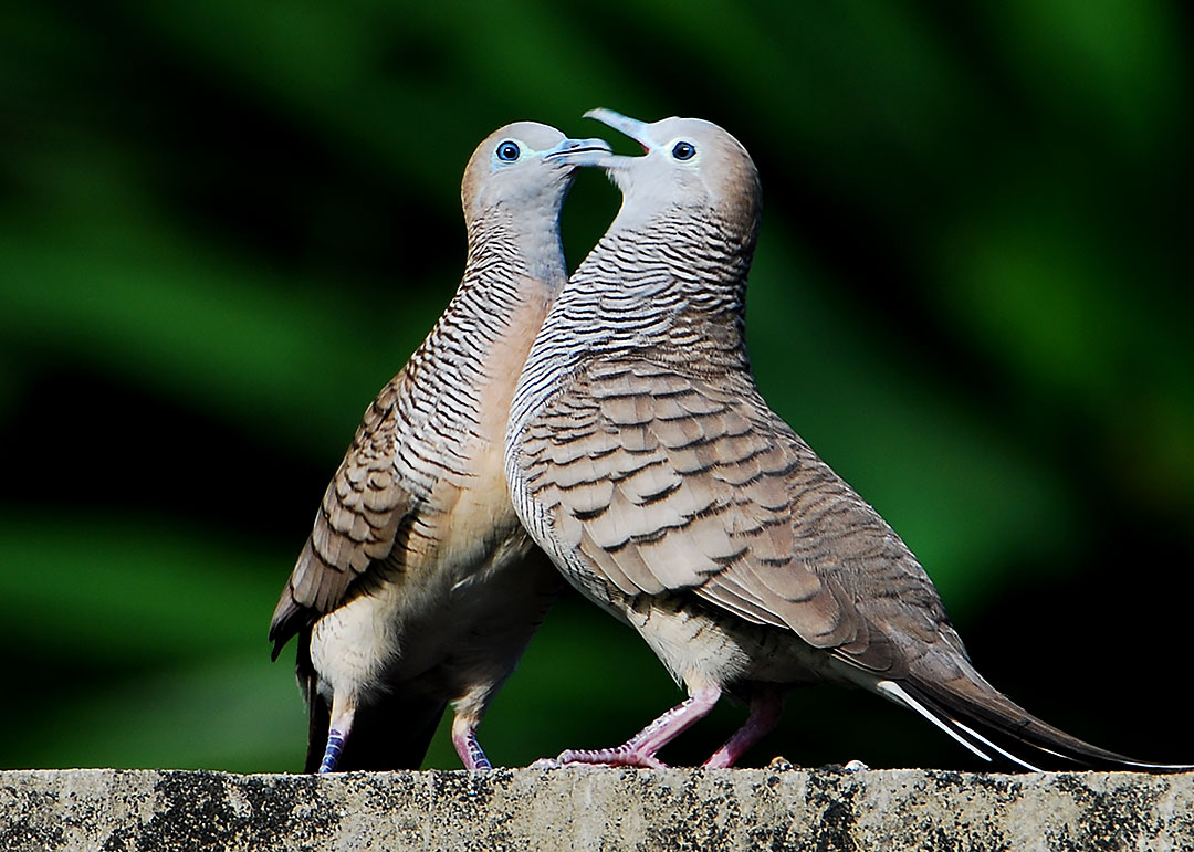 DSC_8584.jpg