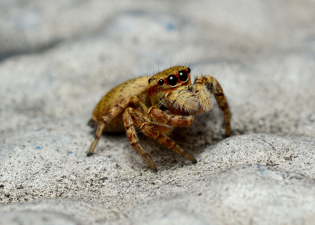 DSC_3729.jpg