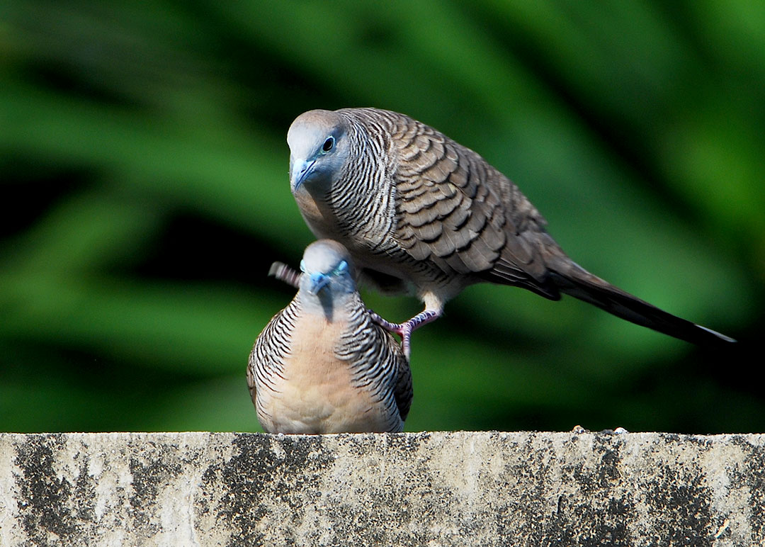 DSC_8591.jpg