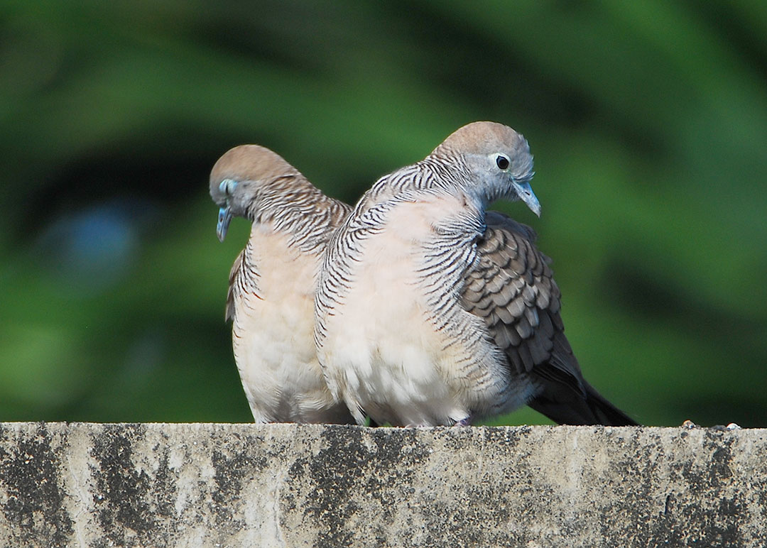 DSC_8641.jpg