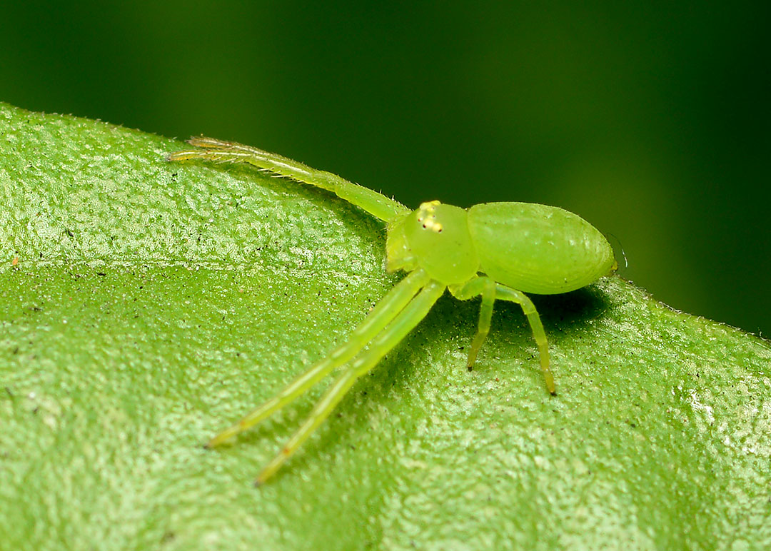 DSC_0088.jpg