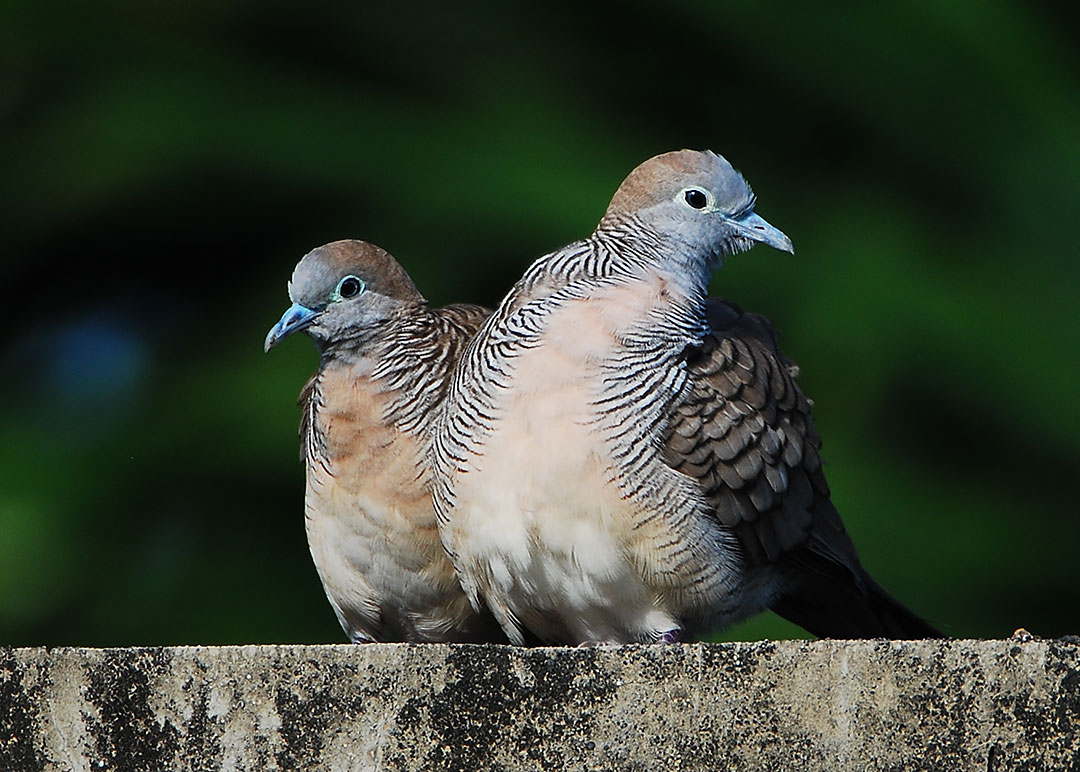 DSC_8642.jpg