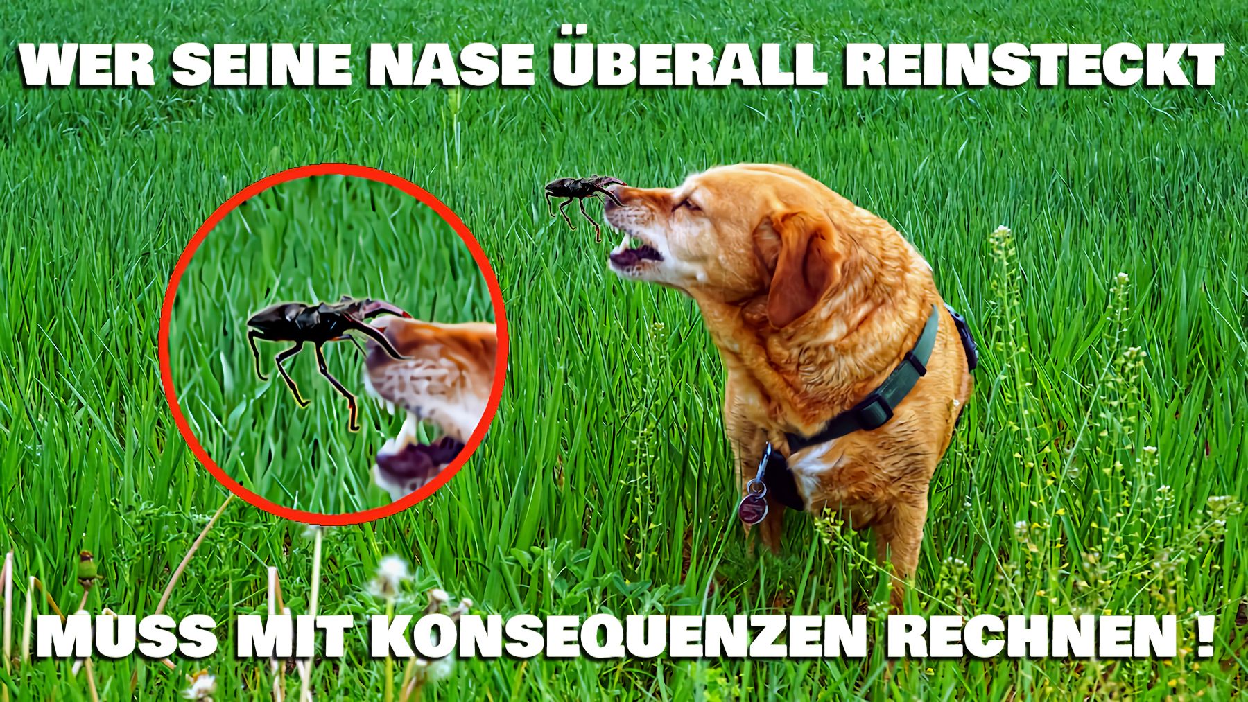 konsequenzen.jpg