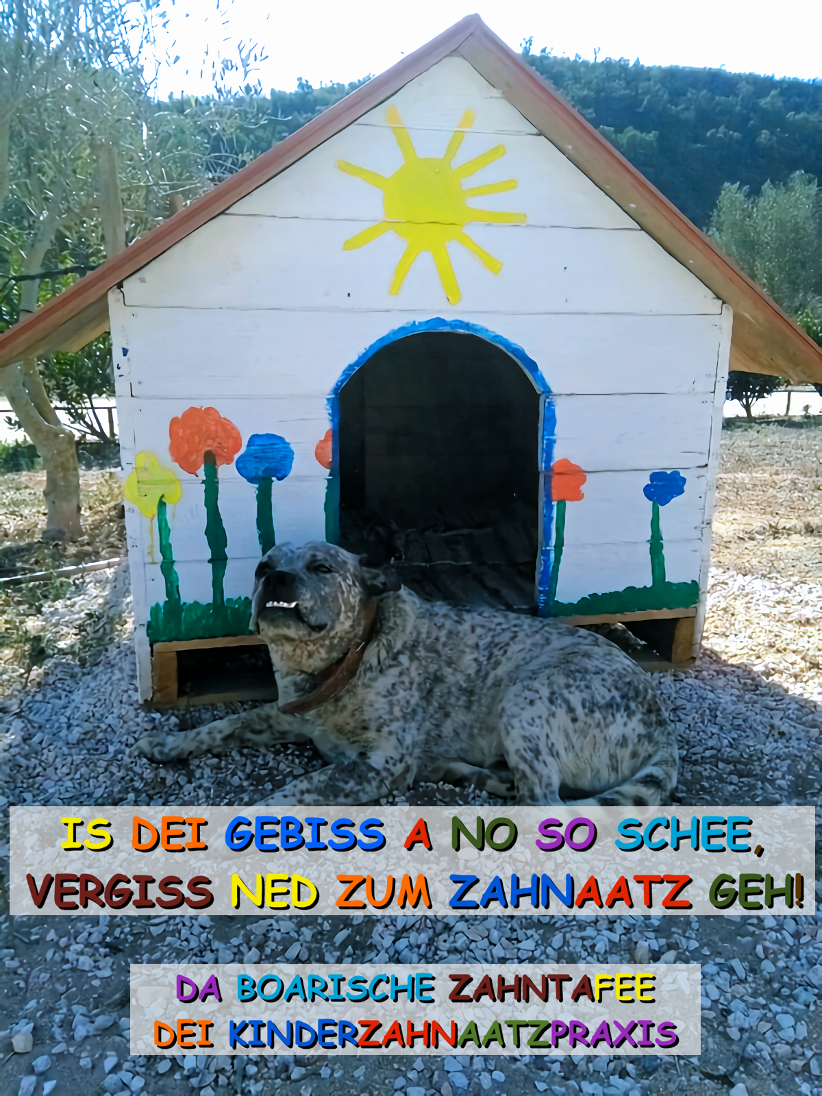 Hunde-Meme-001.png