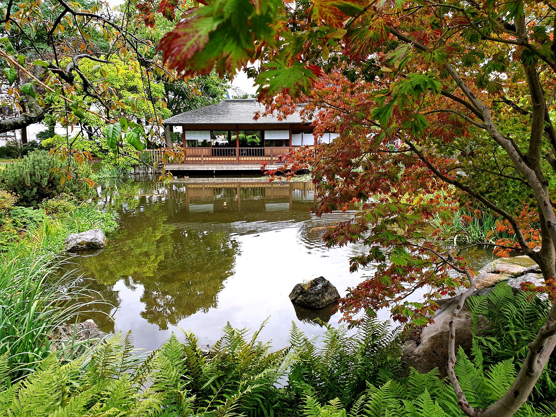 setagayapark1.jpg