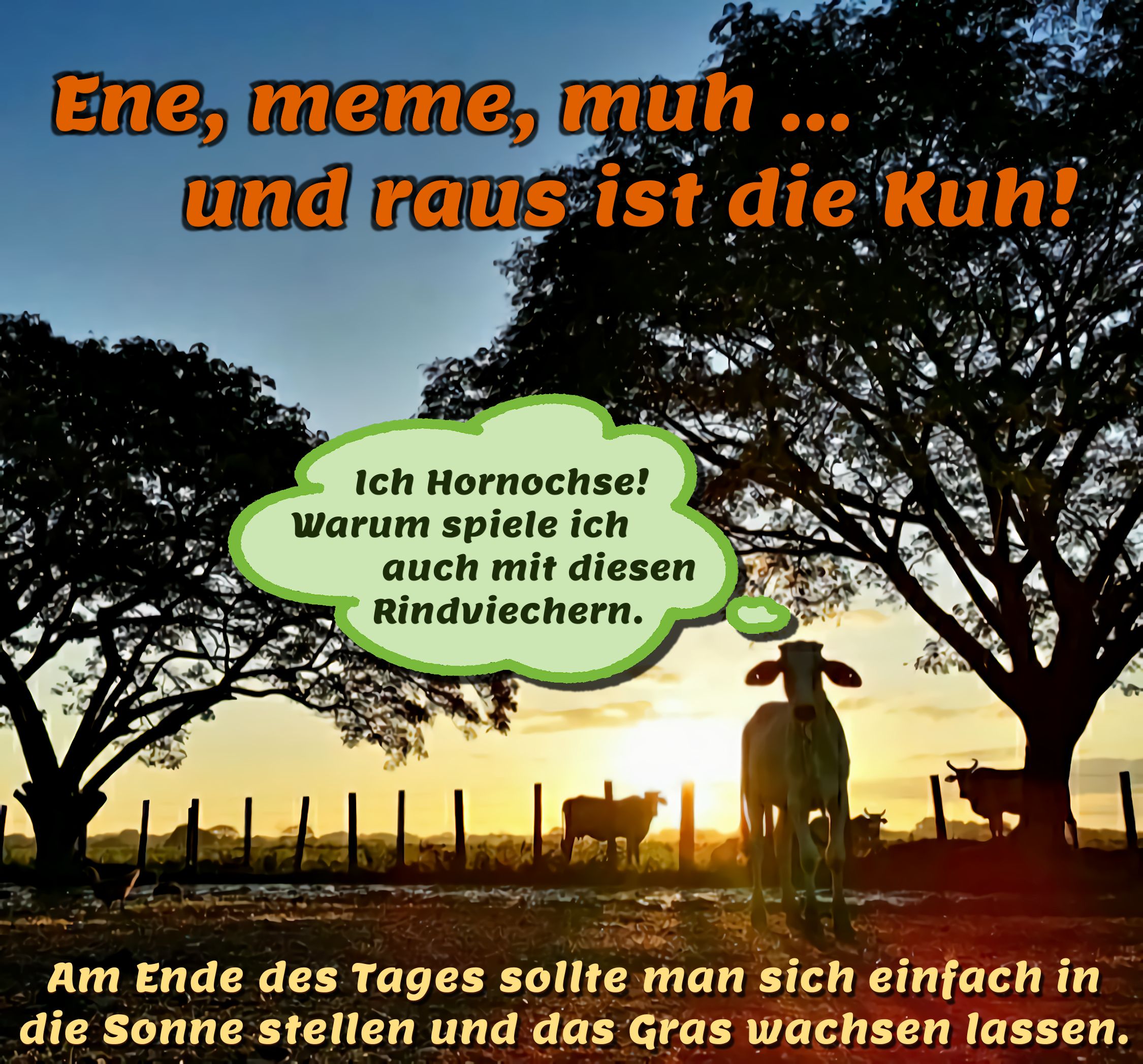 GmbH-Meme-Contest-Numero-XV.png