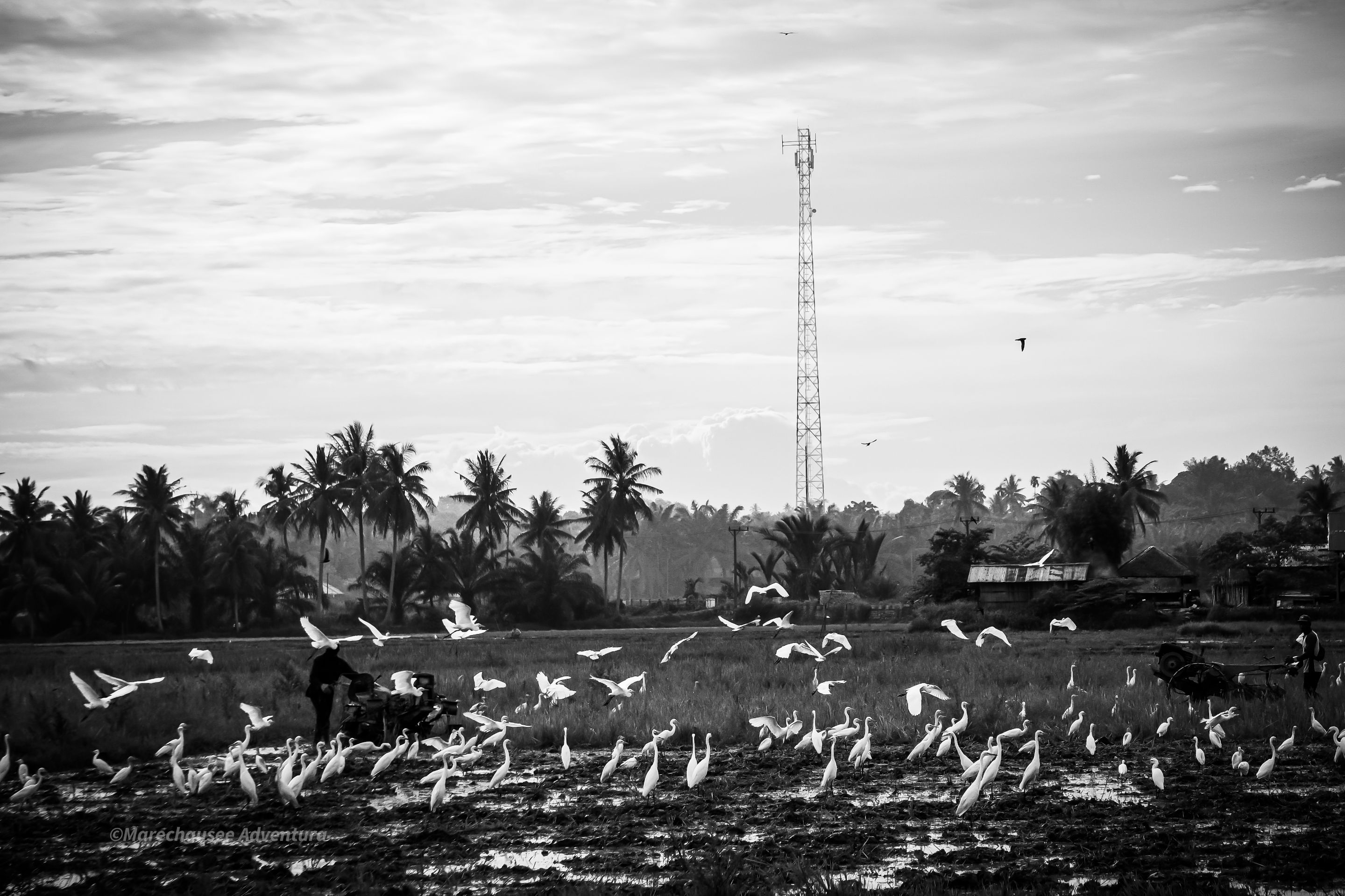 DSC07783 (1).jpg