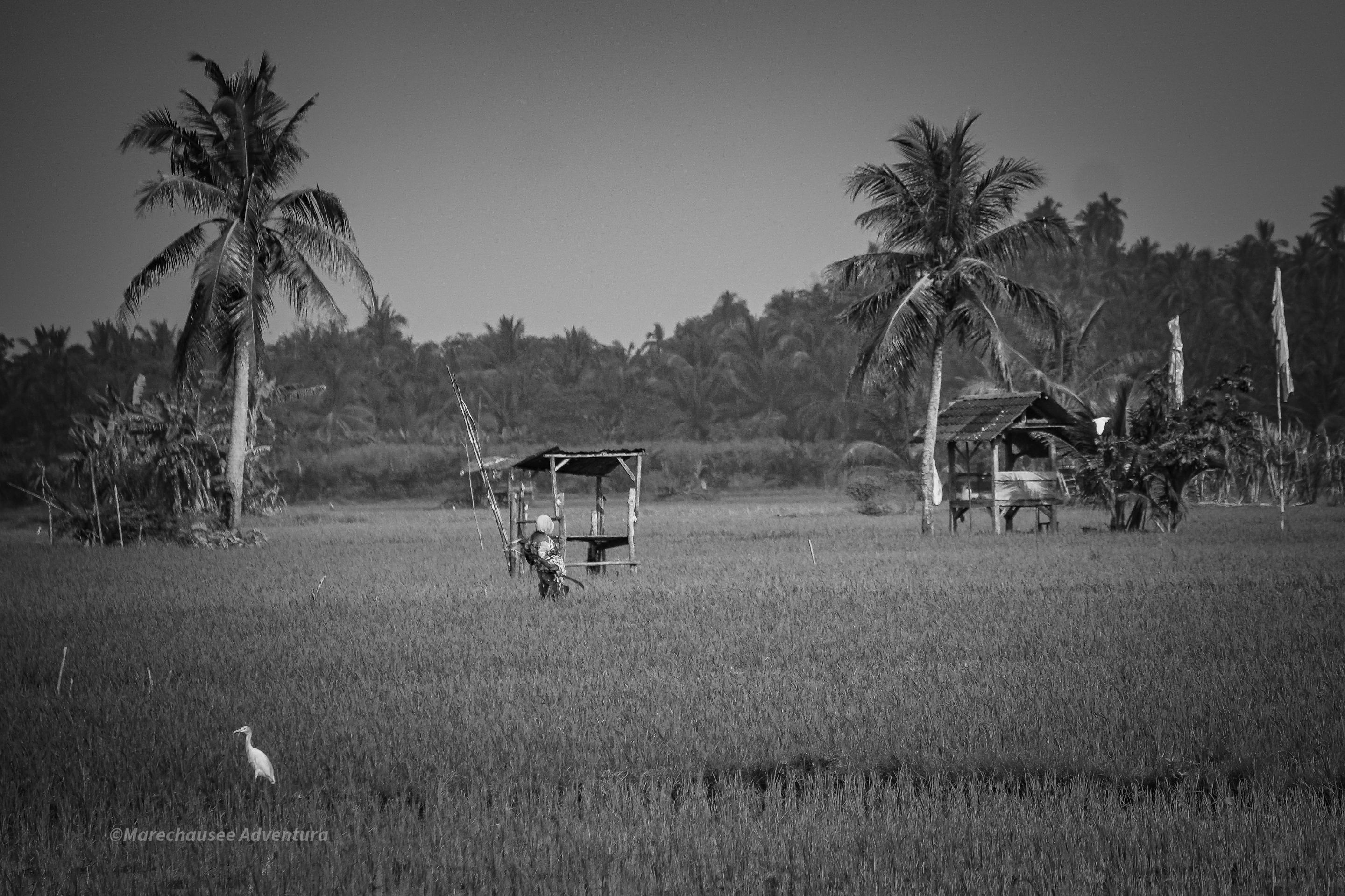 DSC01940 (1).jpg