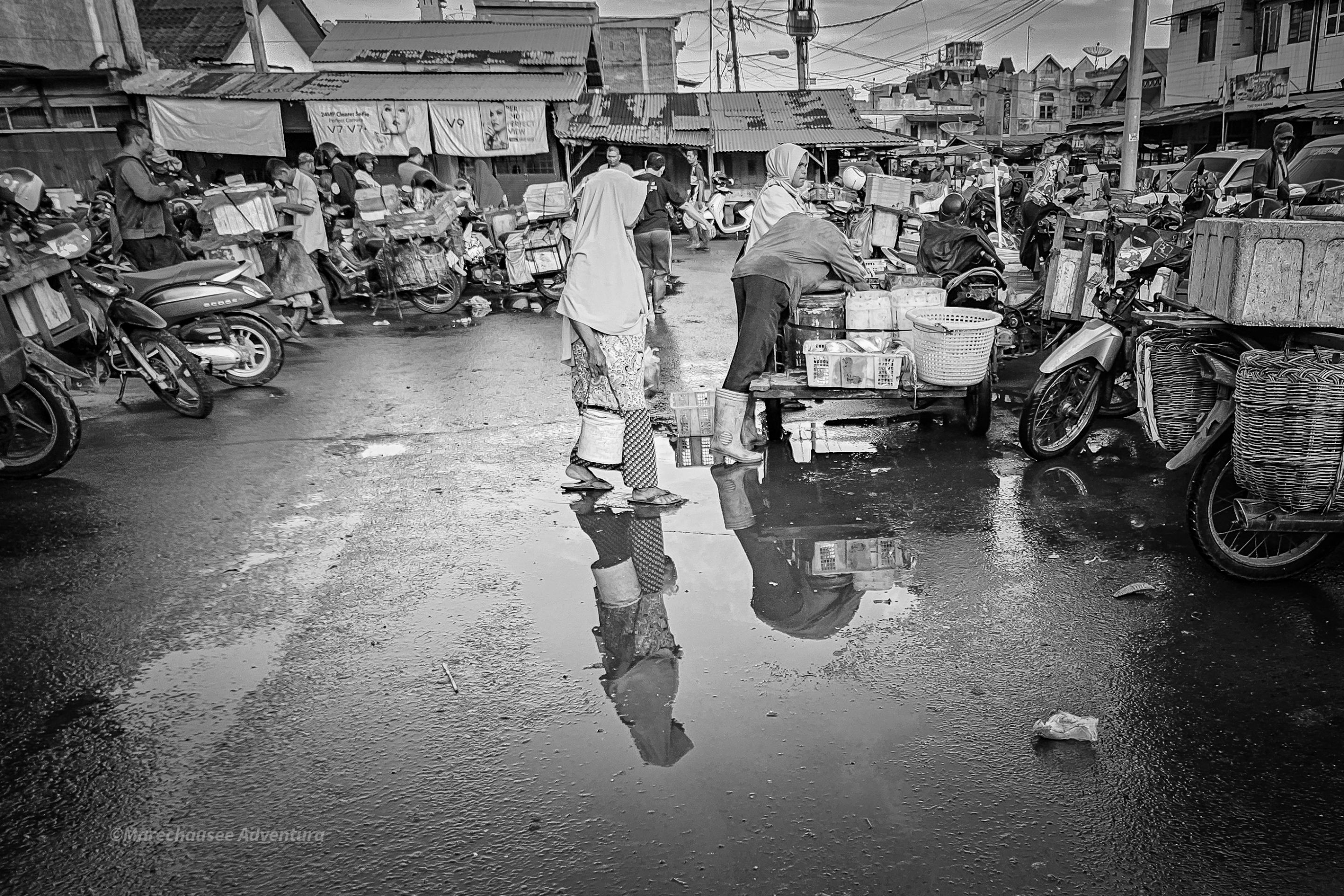 20250823_074250.jpg