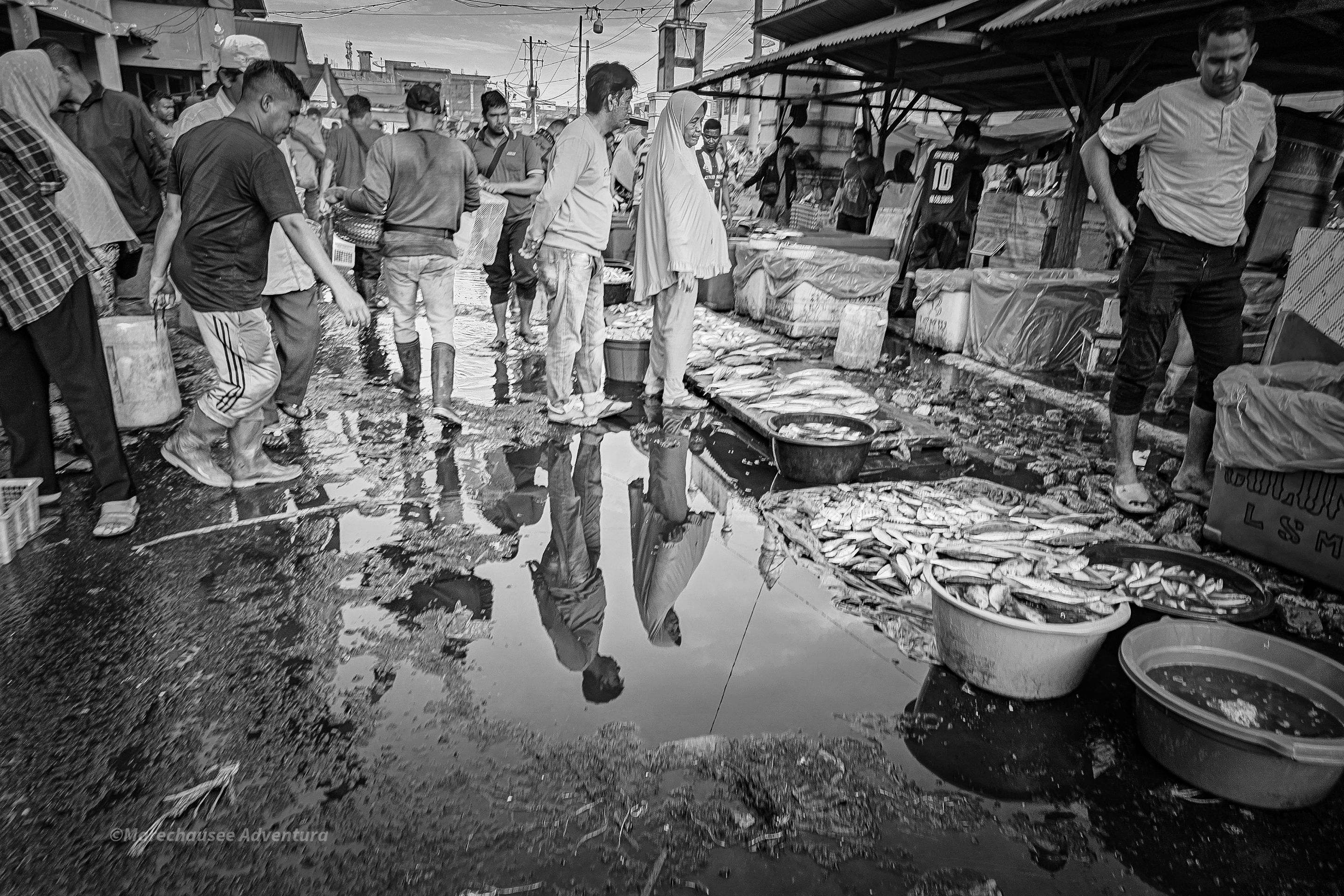 20250823_074048 (1).jpg