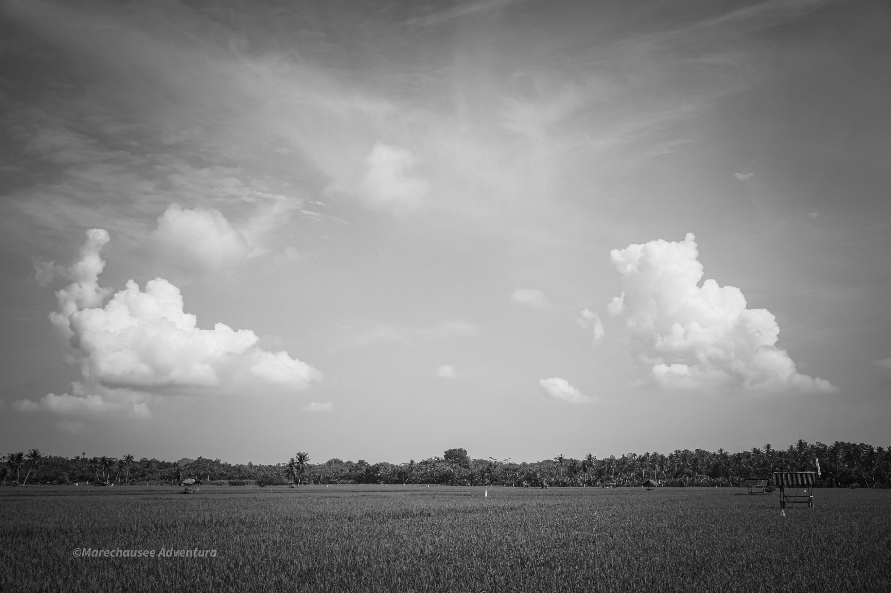 DSC02132.jpg
