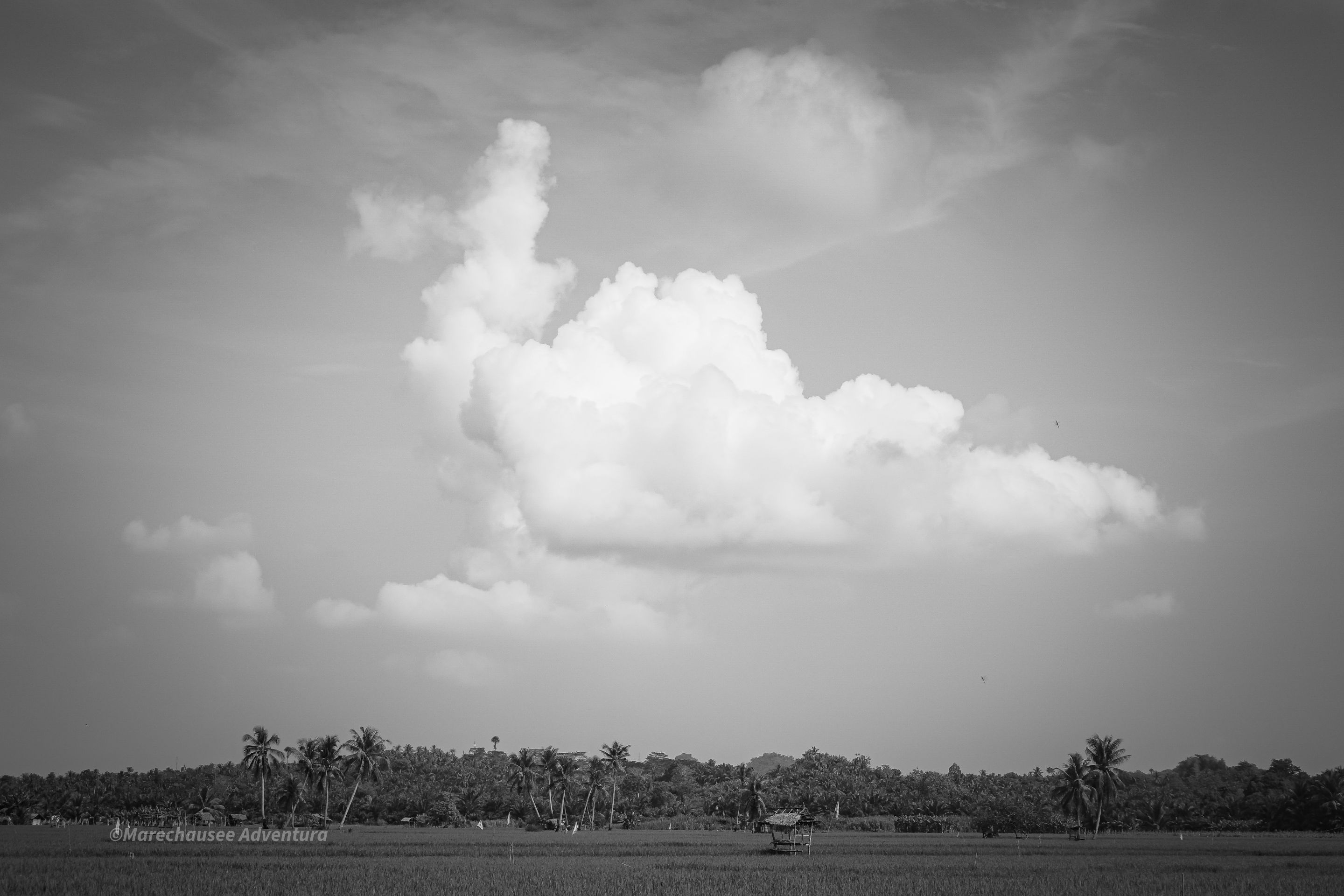 DSC02128.jpg