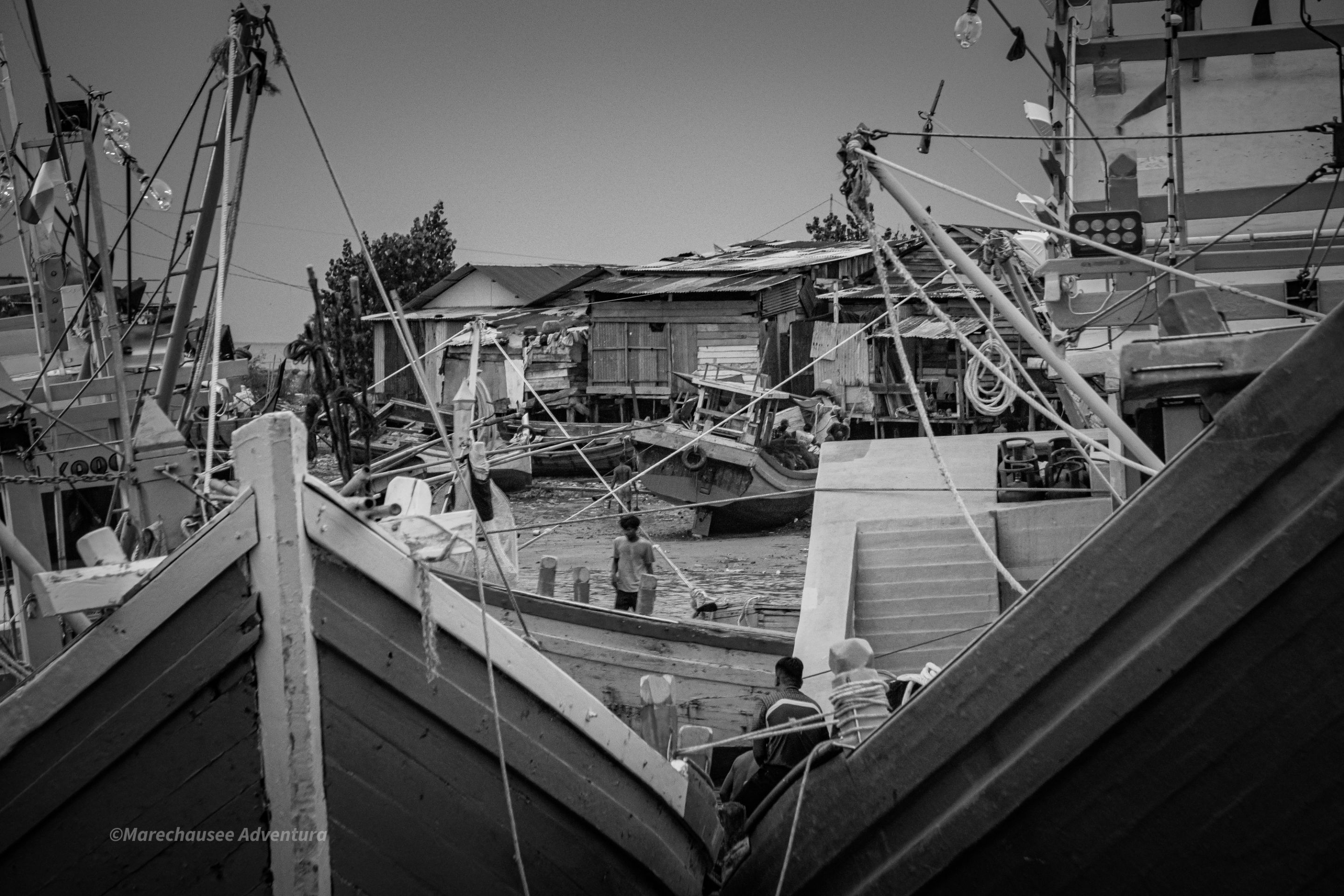DSC00057.jpg