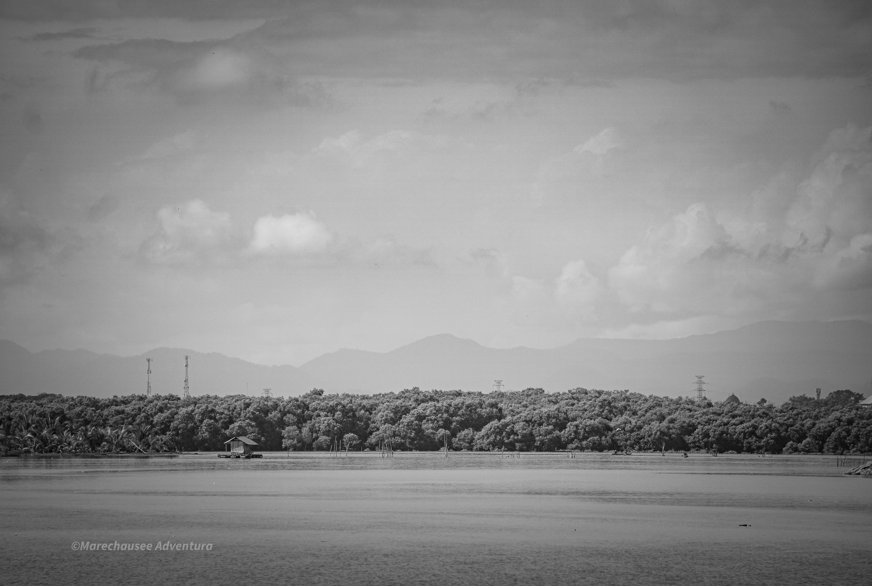 DSC03886.jpg