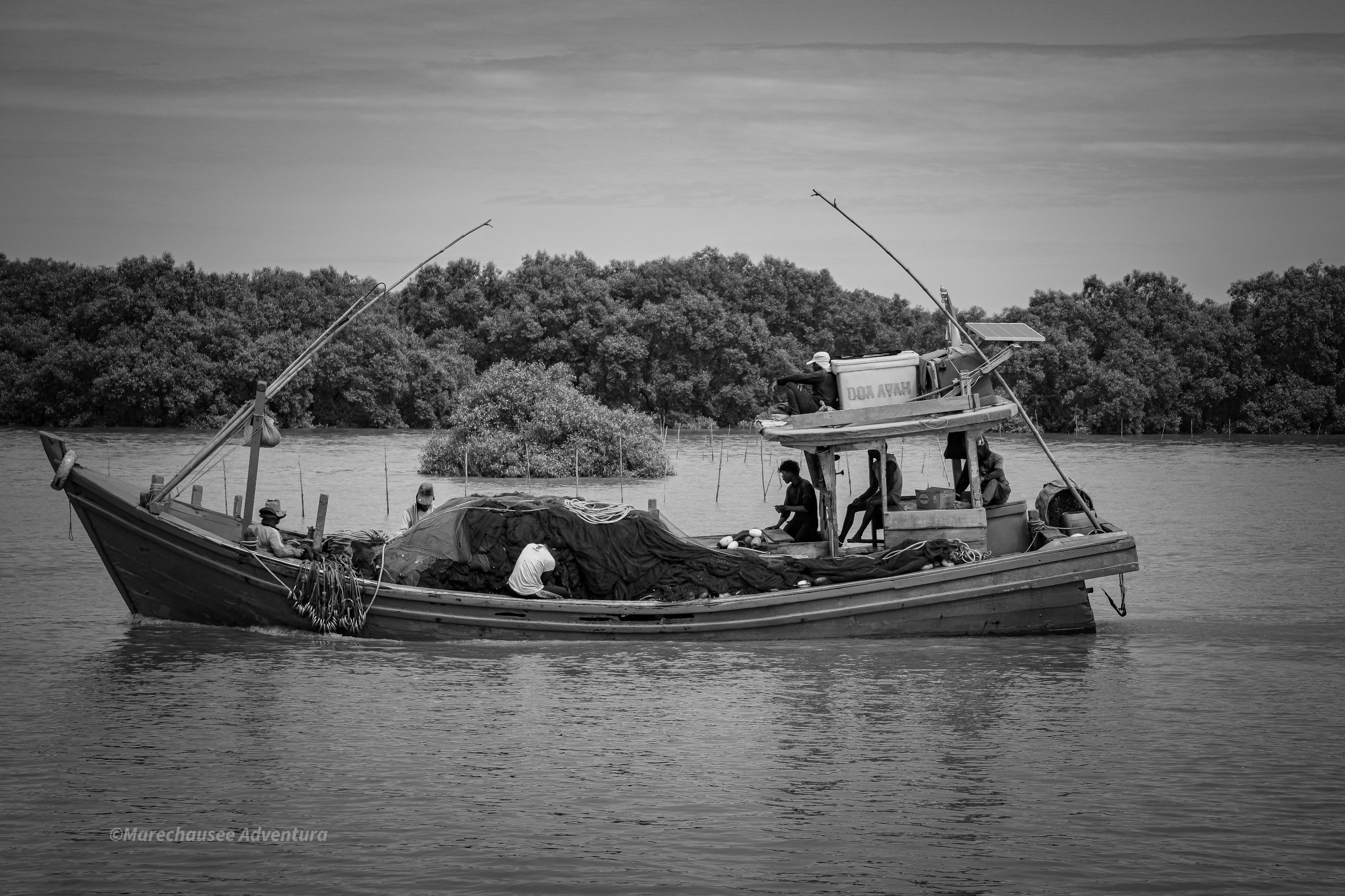 DSC02499 (1).jpg
