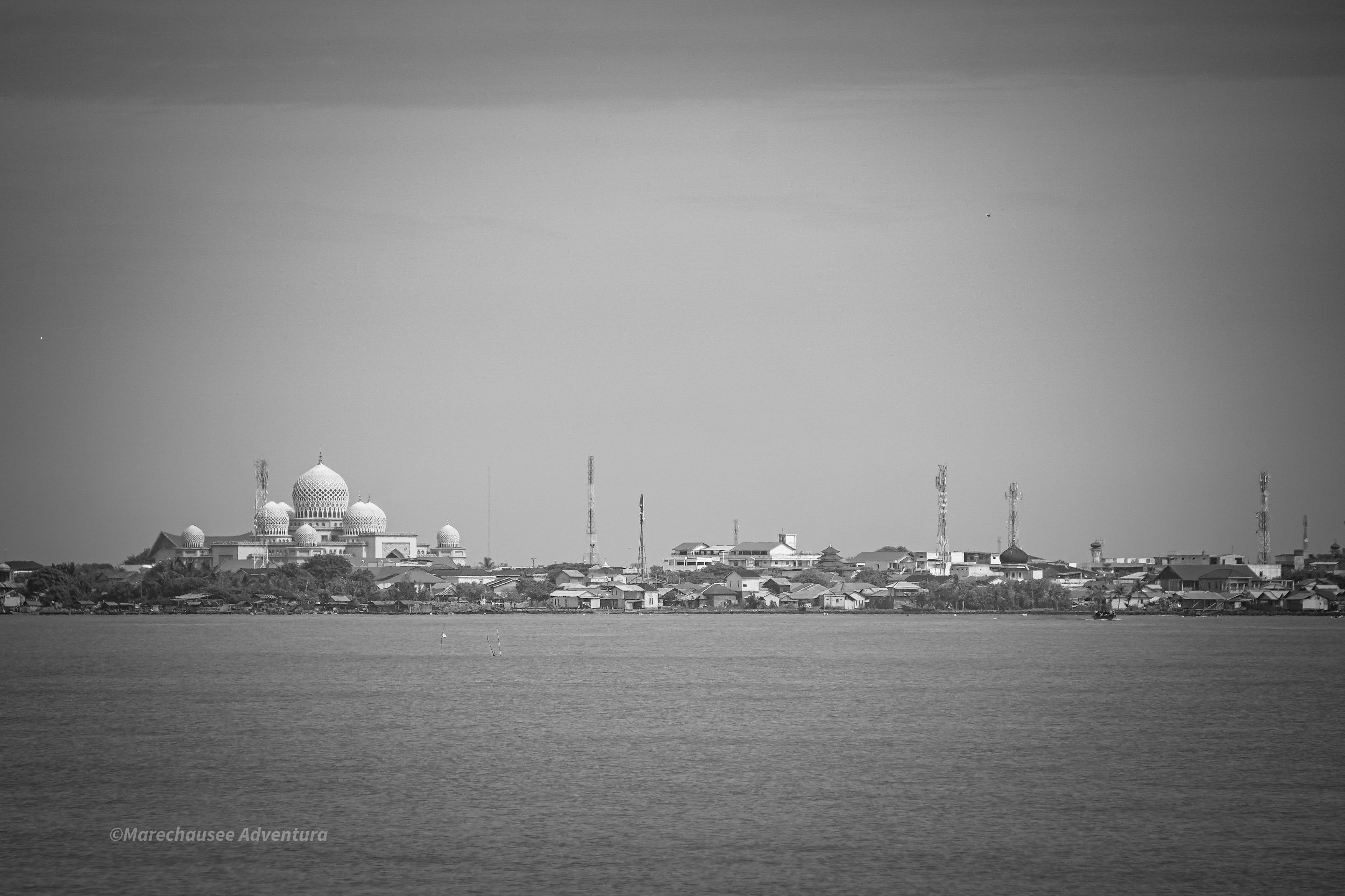 DSC02350.jpg