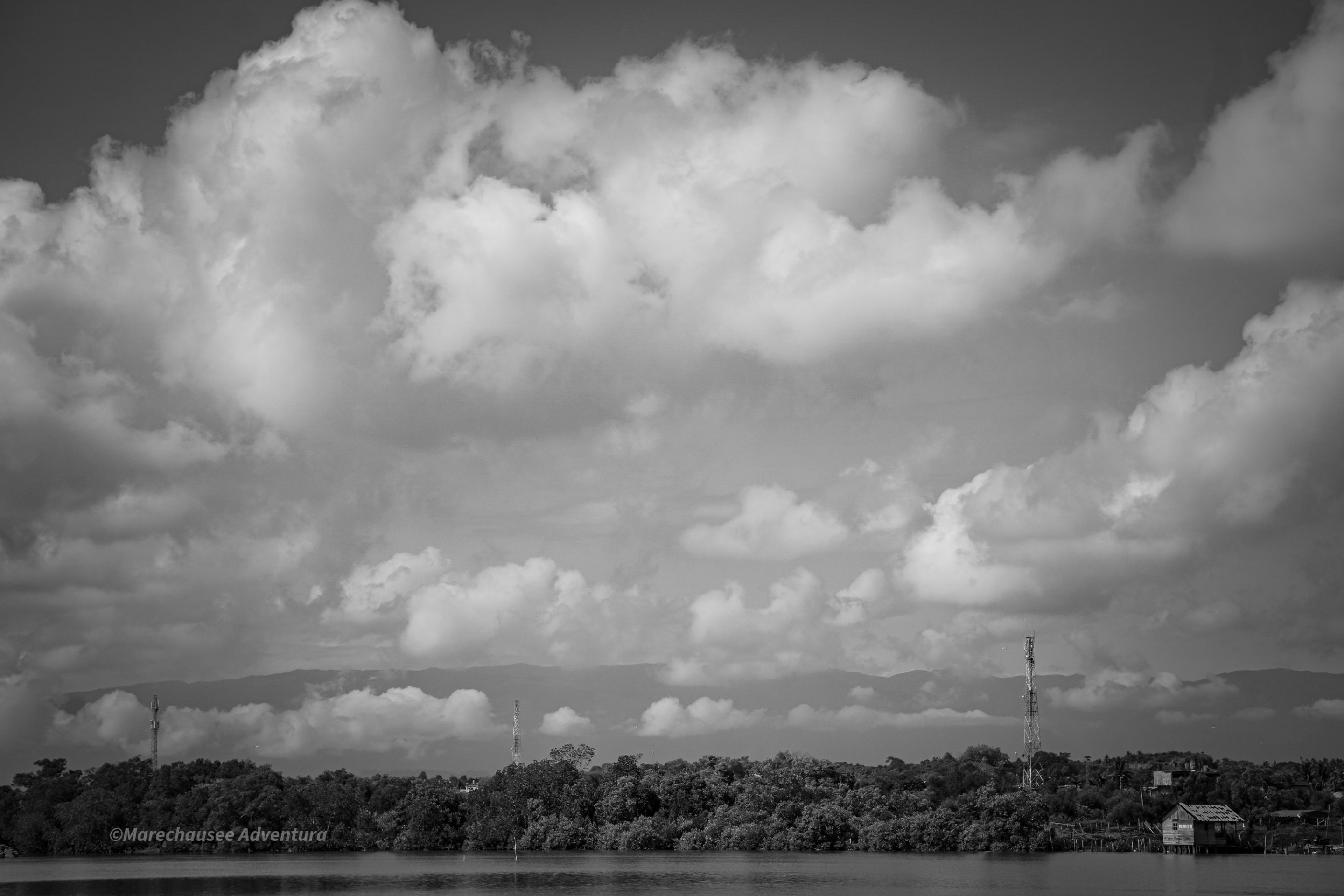 DSC03889_1.jpg