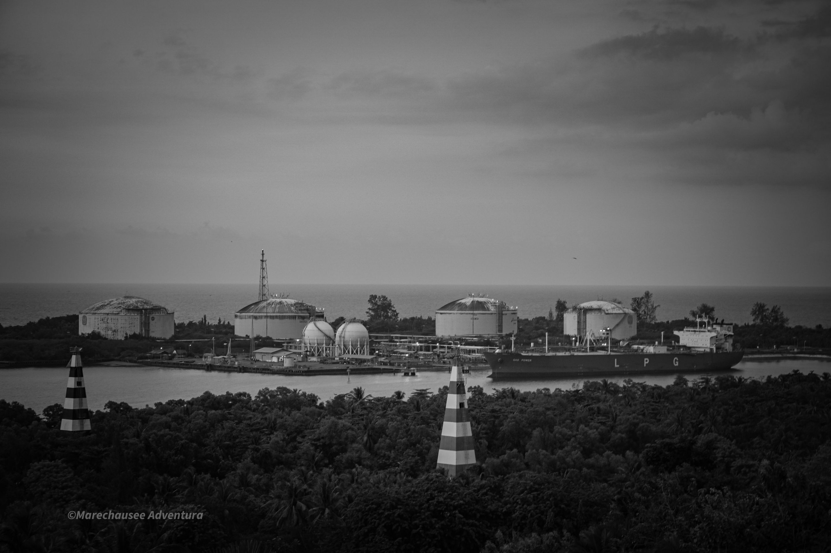 DSC02750.jpg