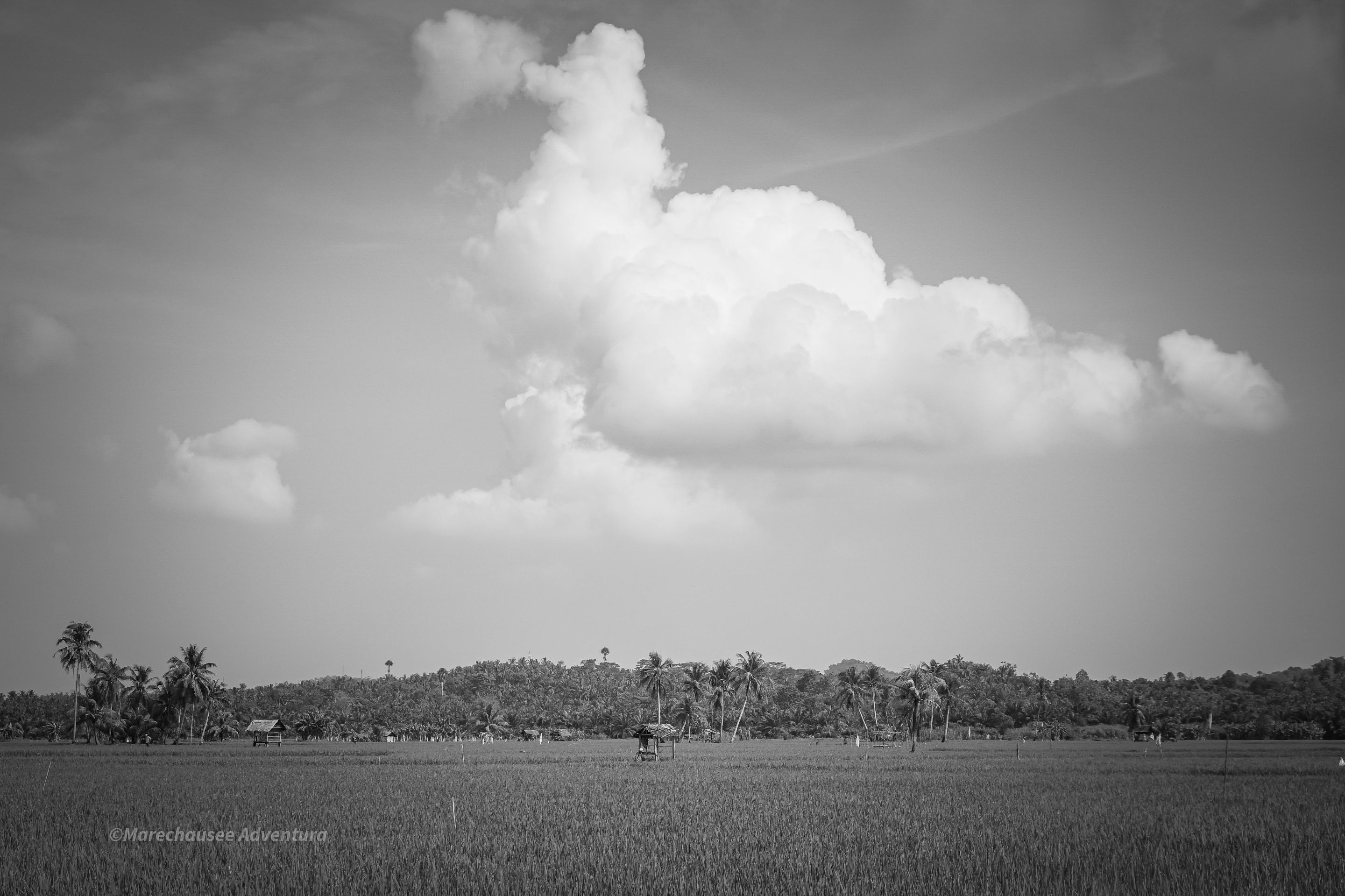 DSC02121.jpg