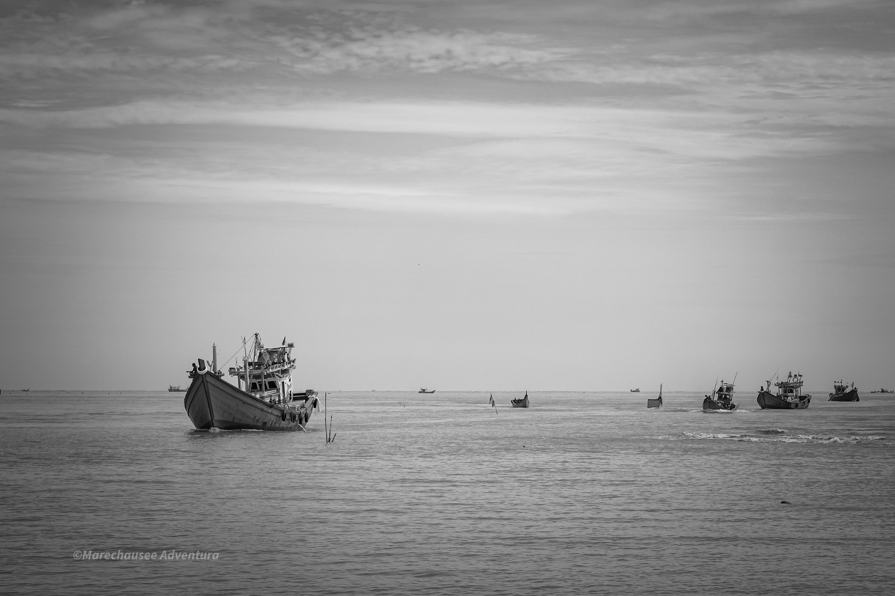 DSC02455.jpg