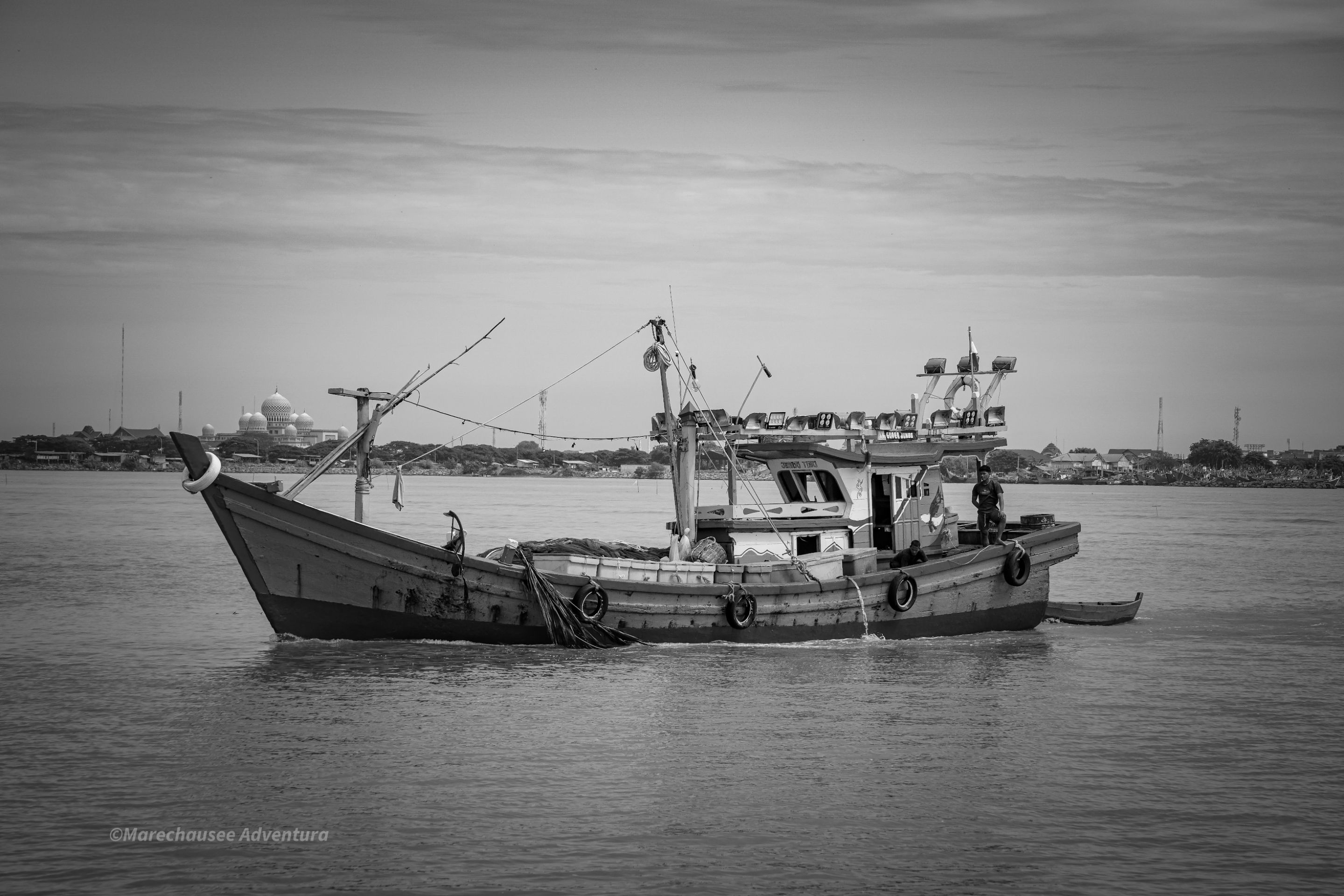 DSC02517.jpg