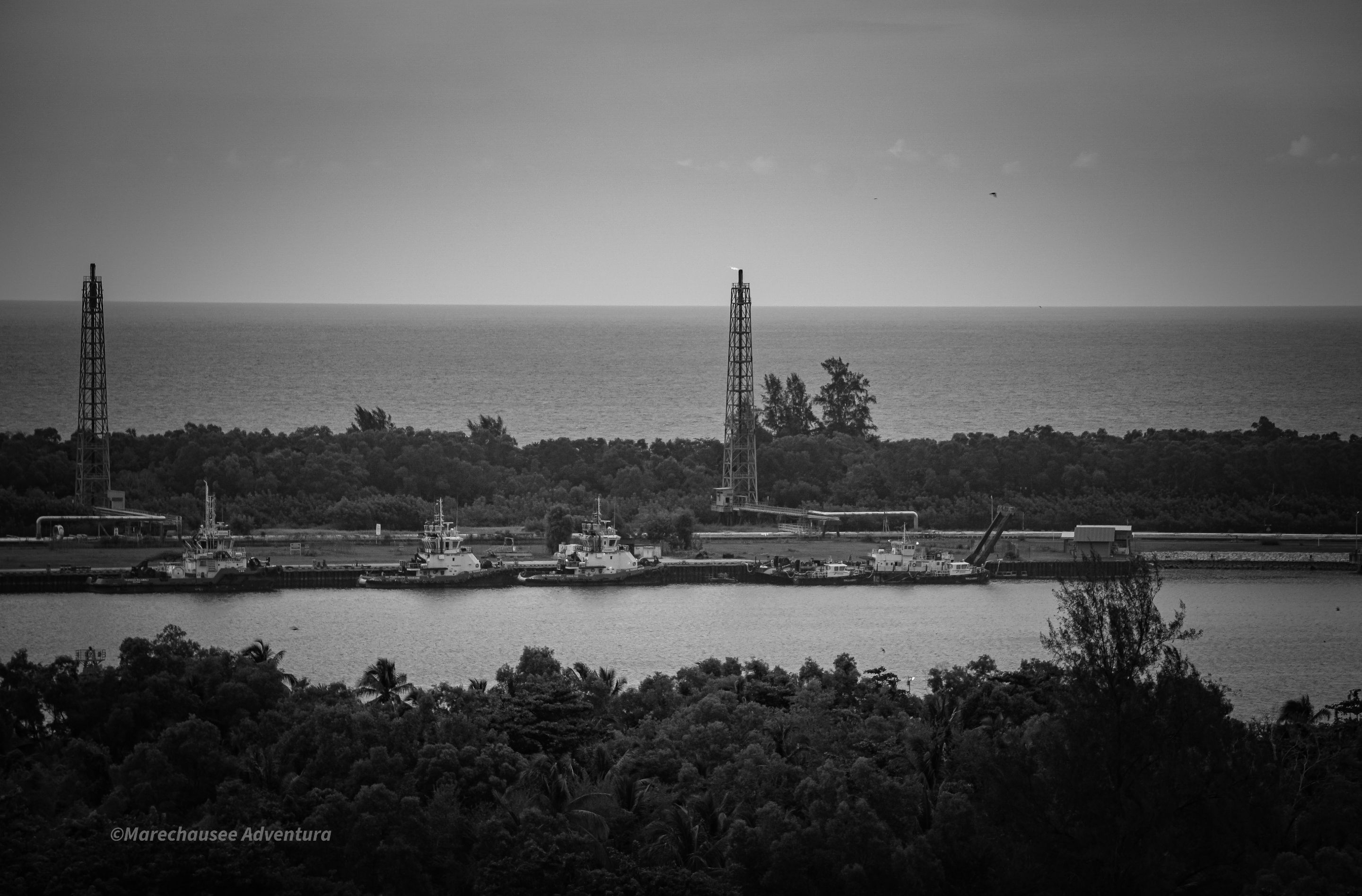 DSC02655 (1).jpg