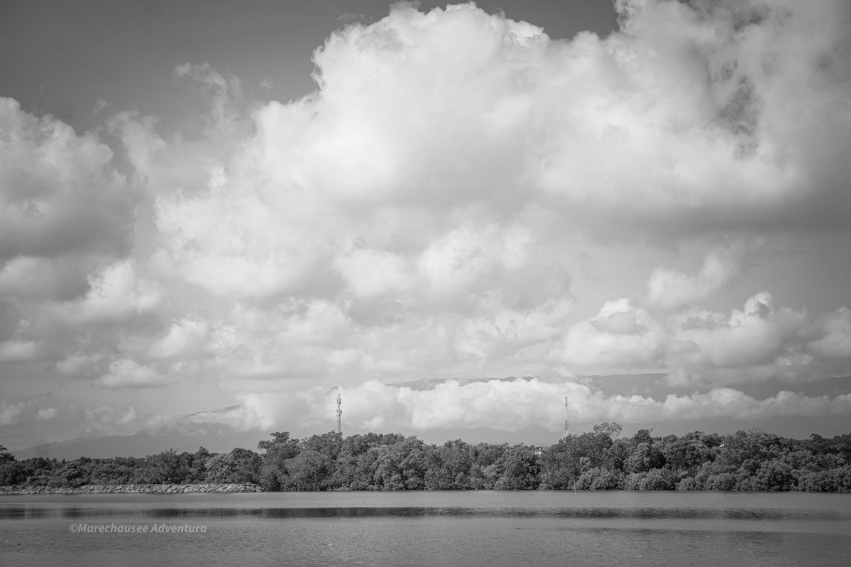 DSC03916.jpg