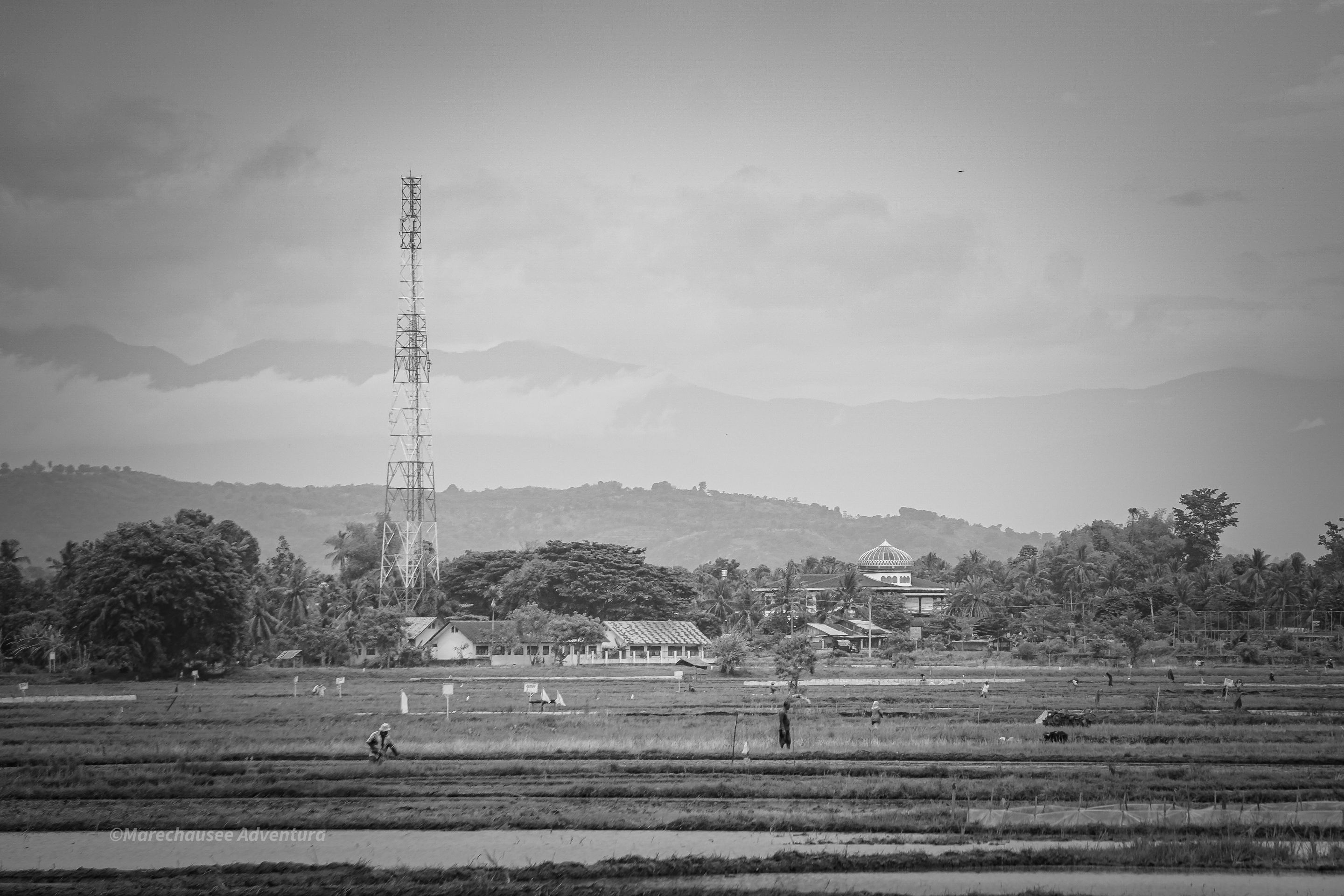 DSC02495.jpg