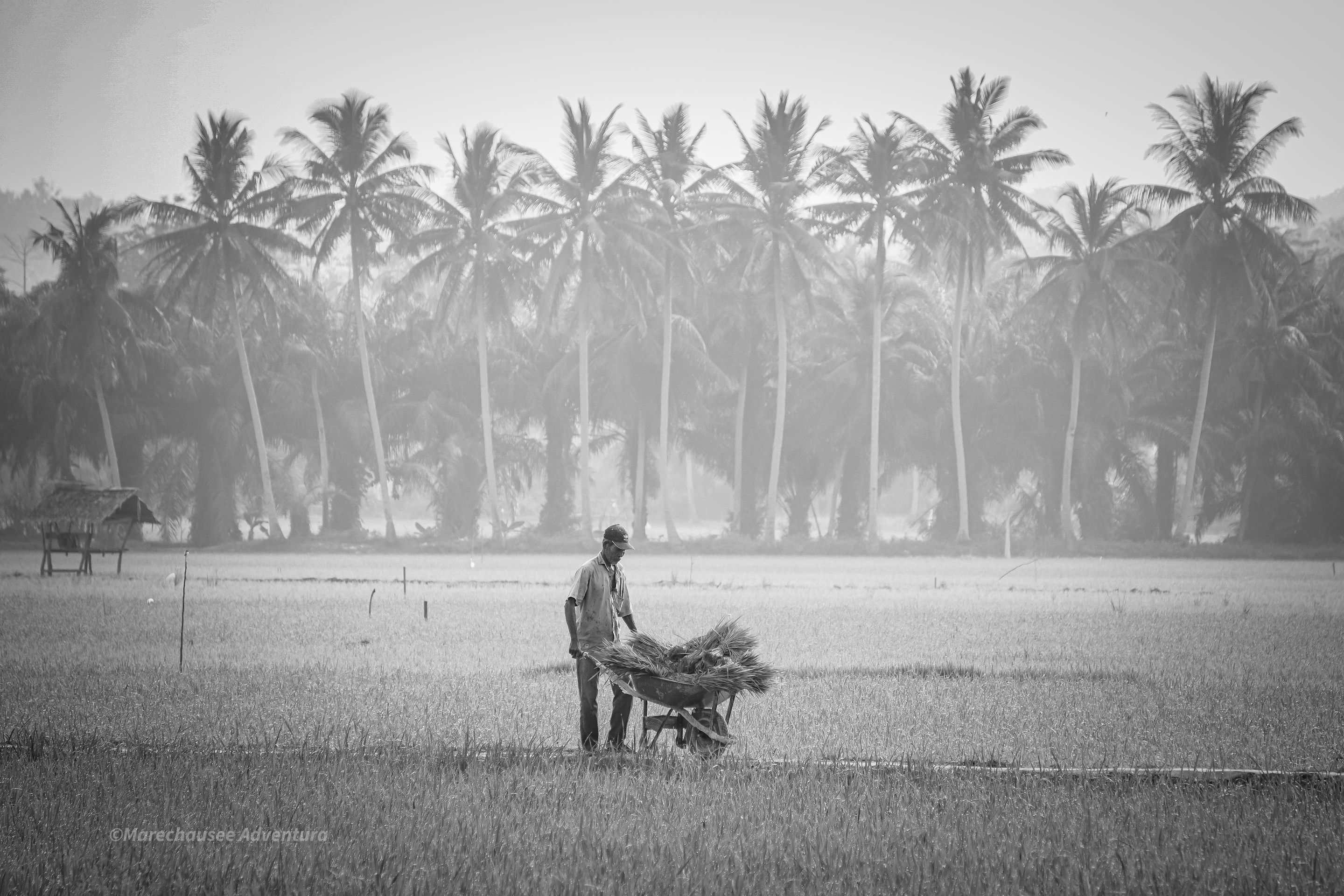 DSC01808 (1).jpg