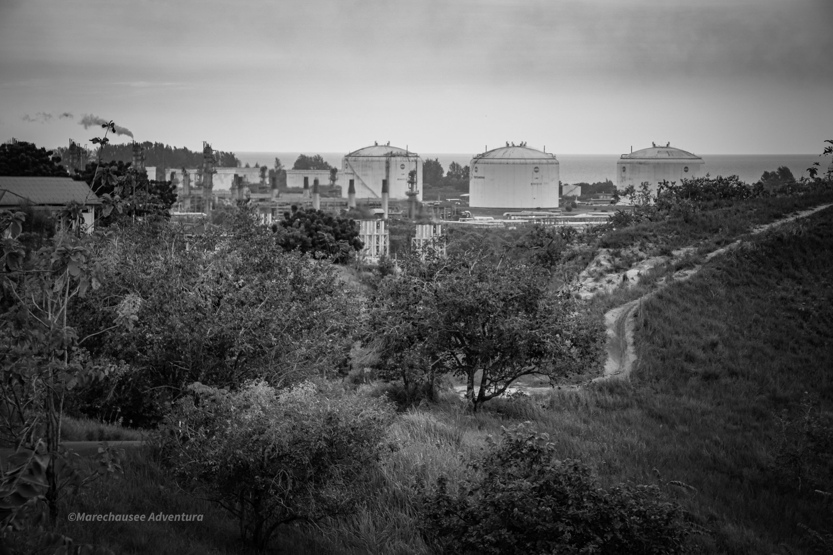 DSC02676 (1).jpg