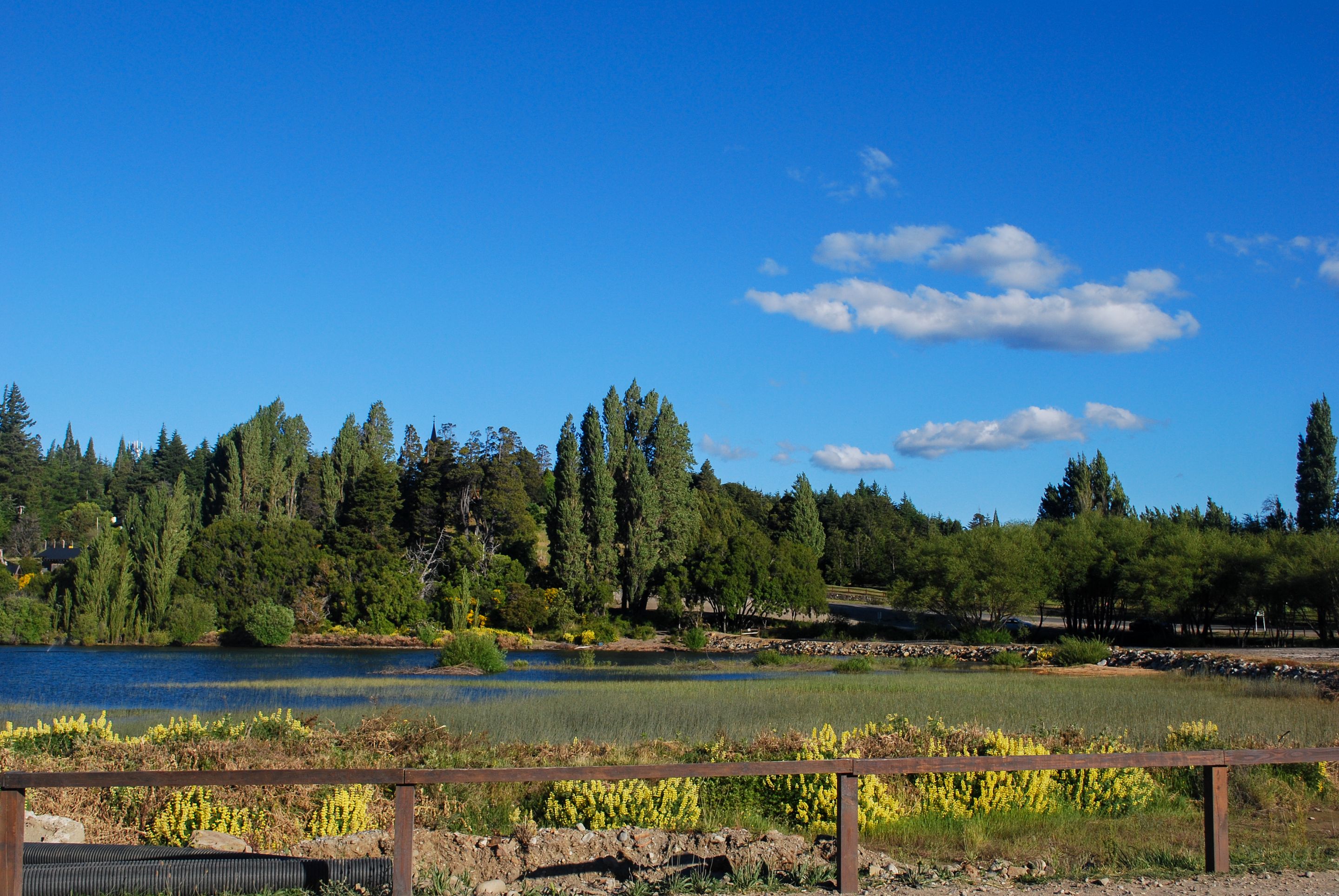 DSC_1213.jpg