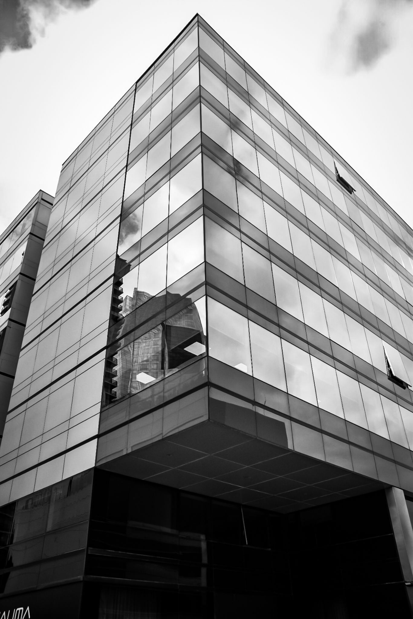 DSC_0186 (1).jpg