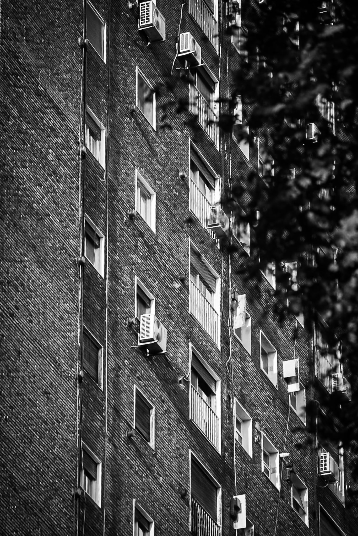 DSC_0015 (2).jpg