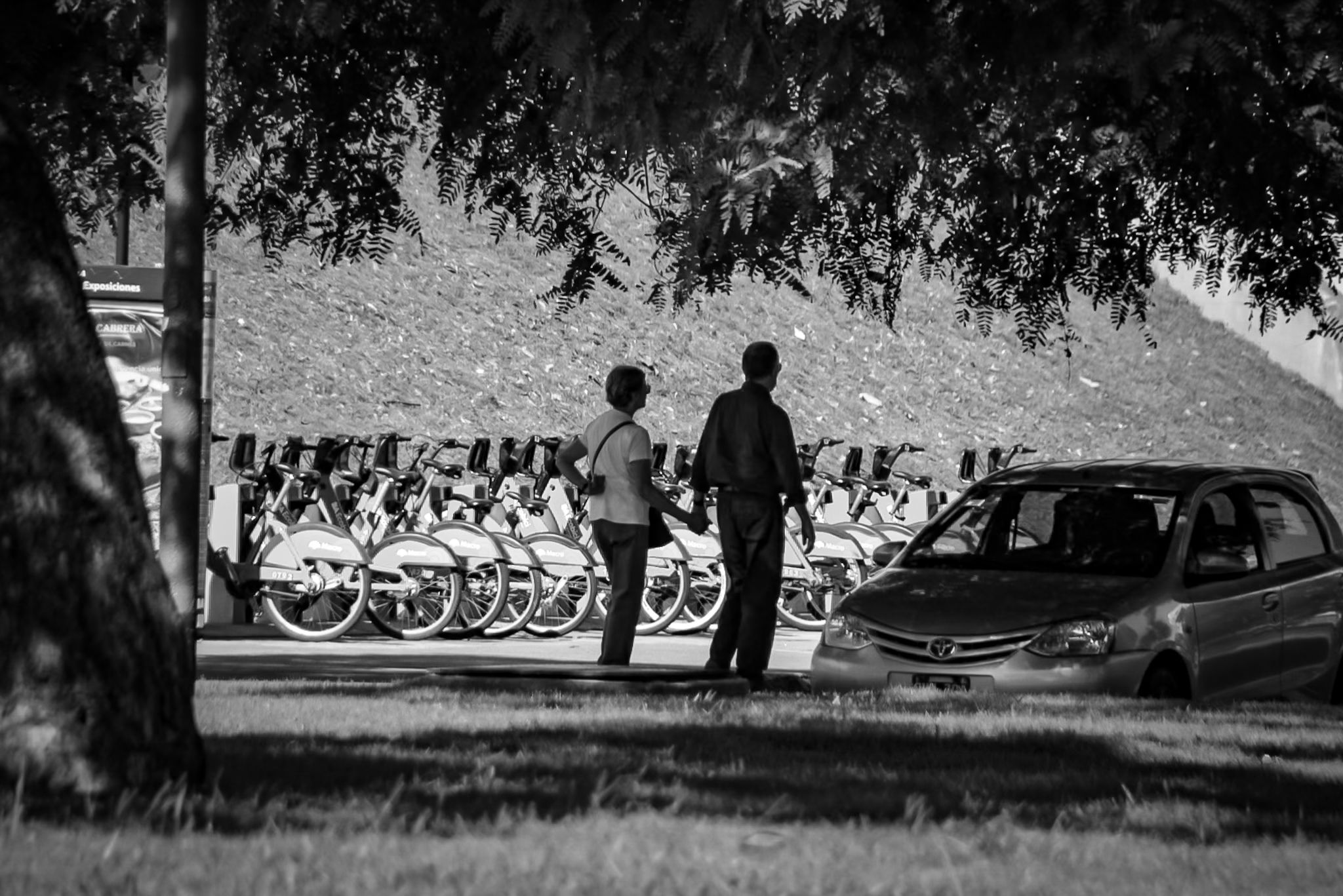 DSC_0338 (1).jpg