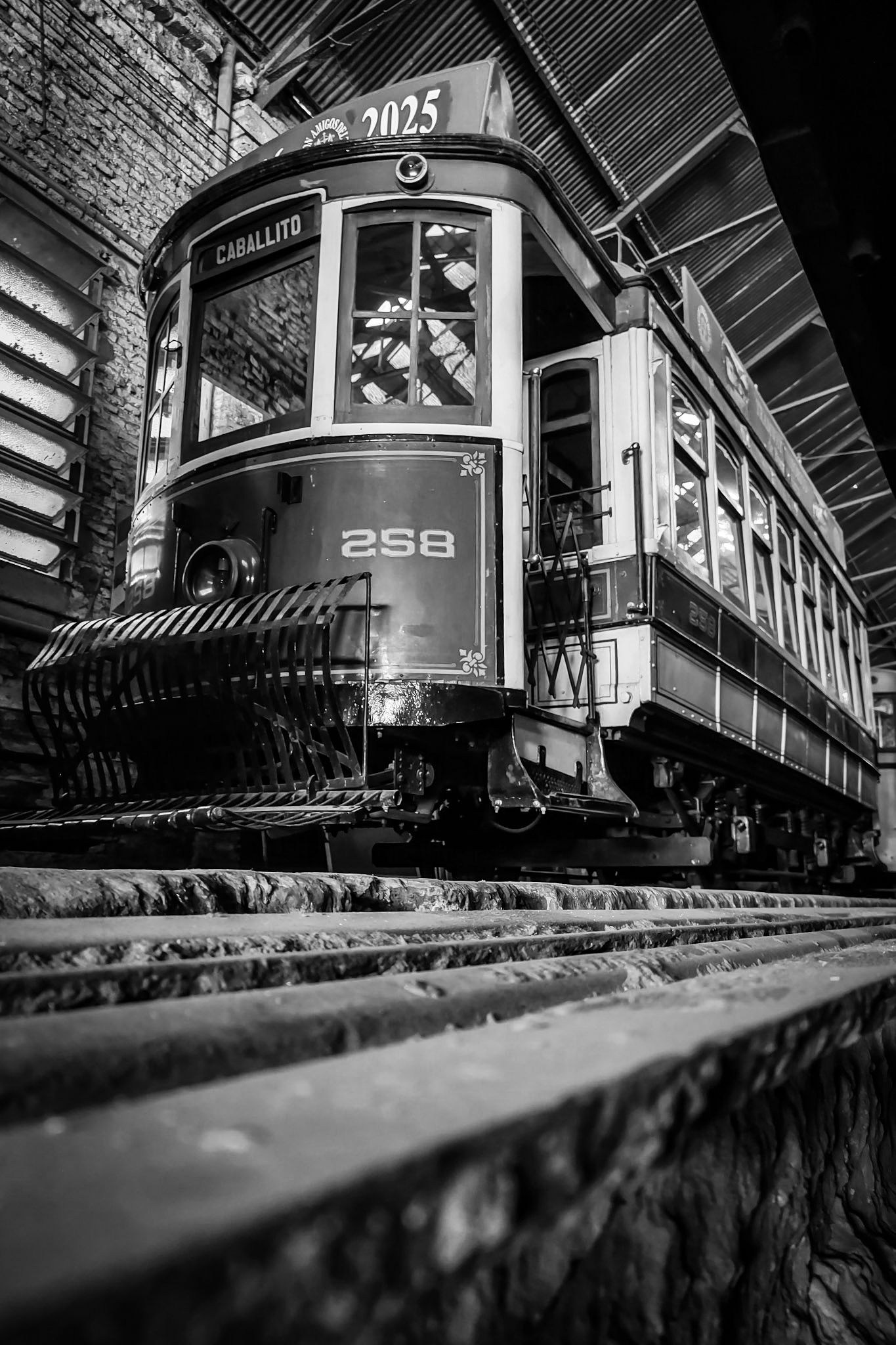 IMG_20251030_105044933_HDR (1).jpg