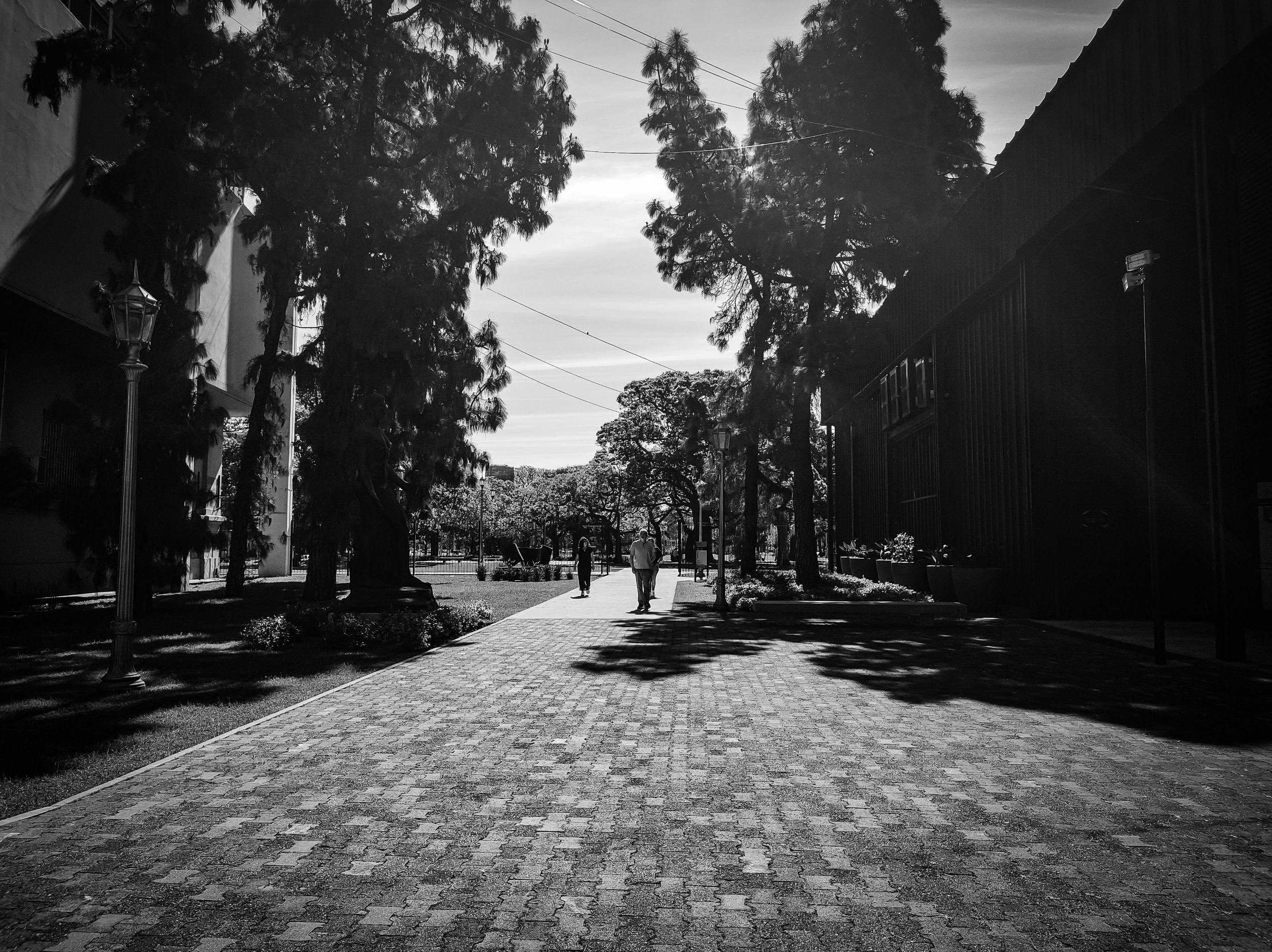 IMG_20251010_151147335 (1).jpg